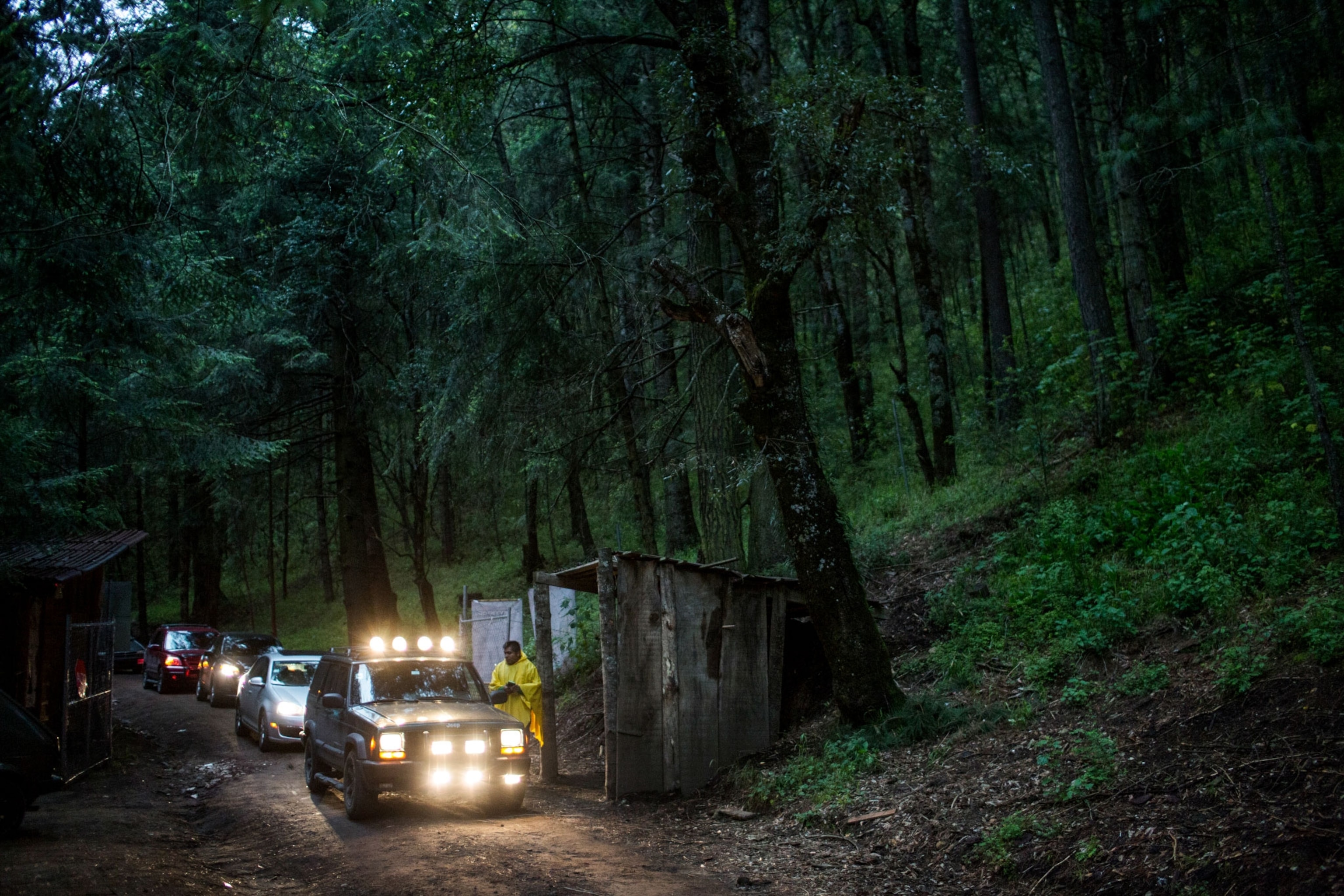 people arriving at a firefly sanctuary.