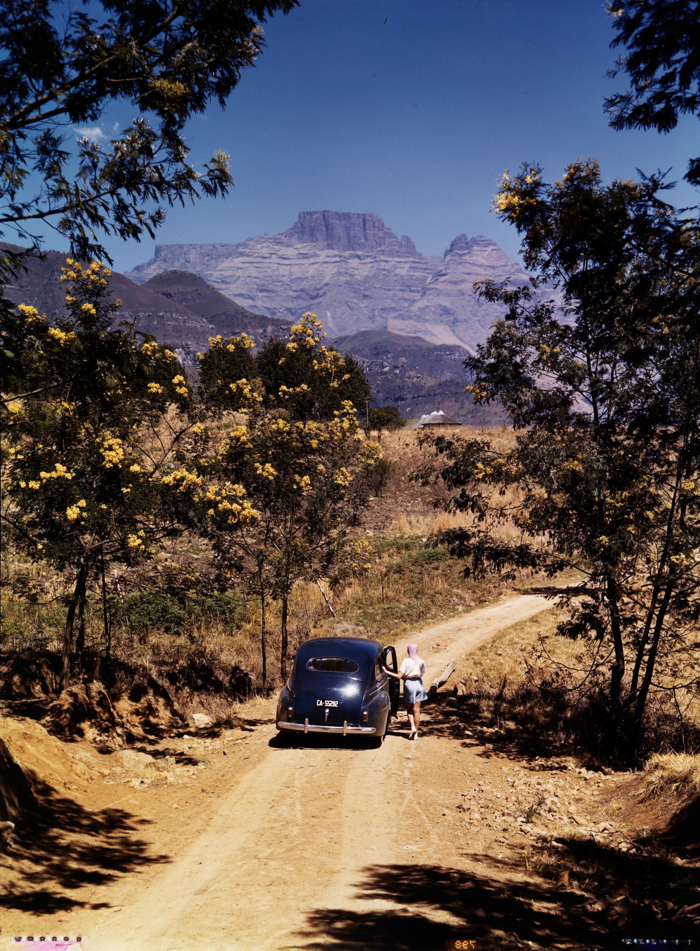 a woman driving through South Africa
