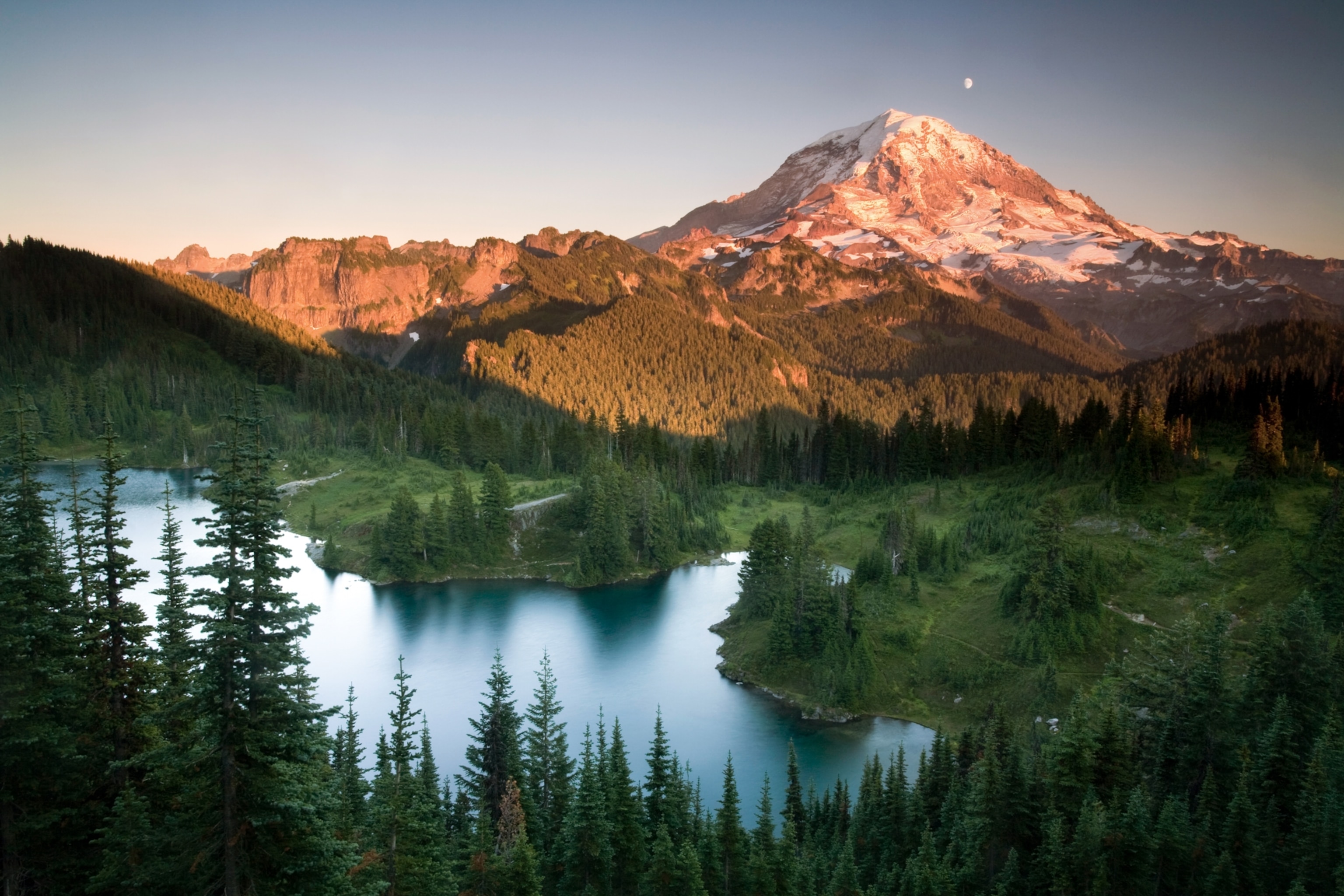 Mount Rainier and the pine trees that surround Polmie Peak