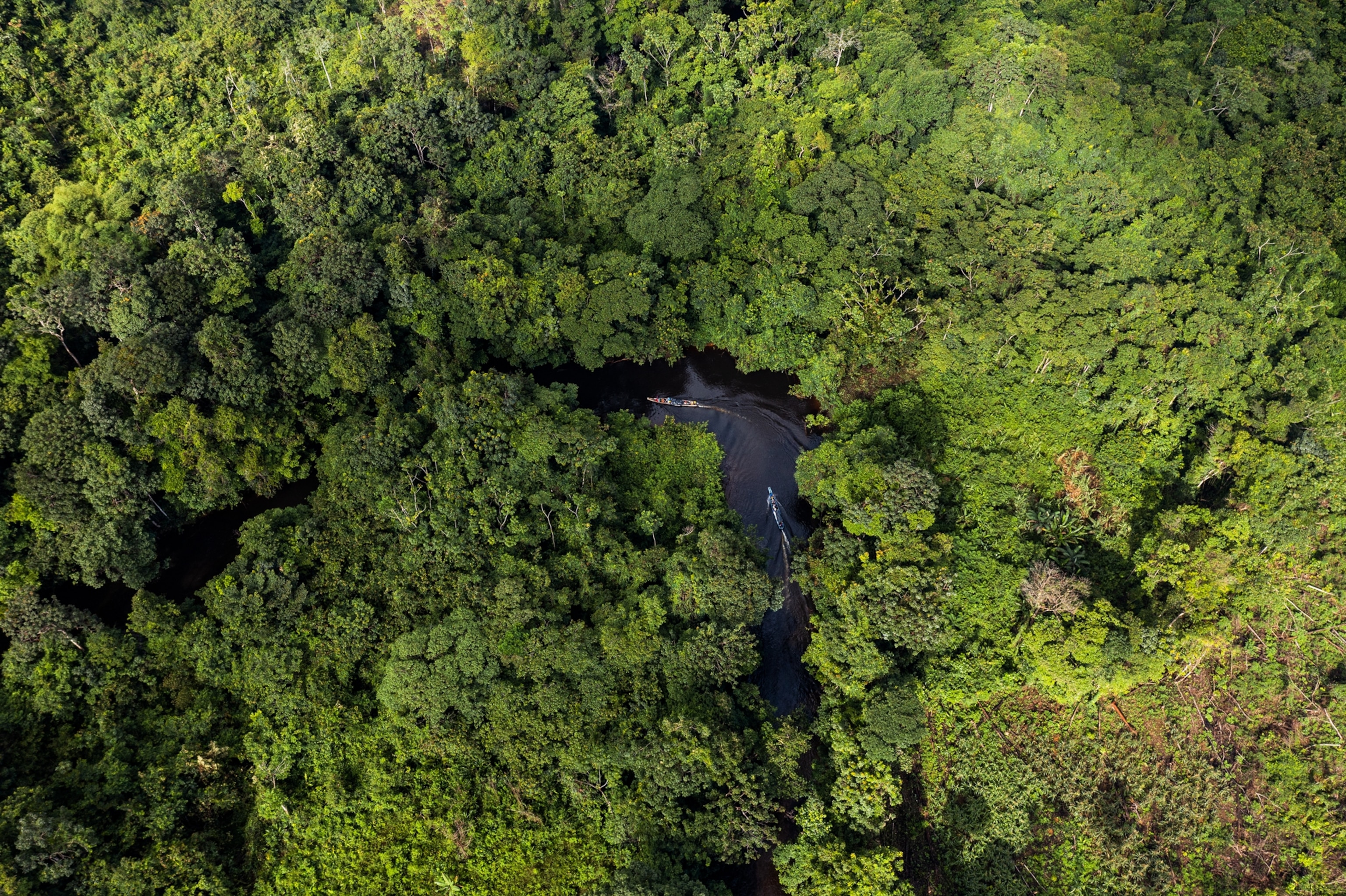 Picture of aerial view of winding river running through forest.