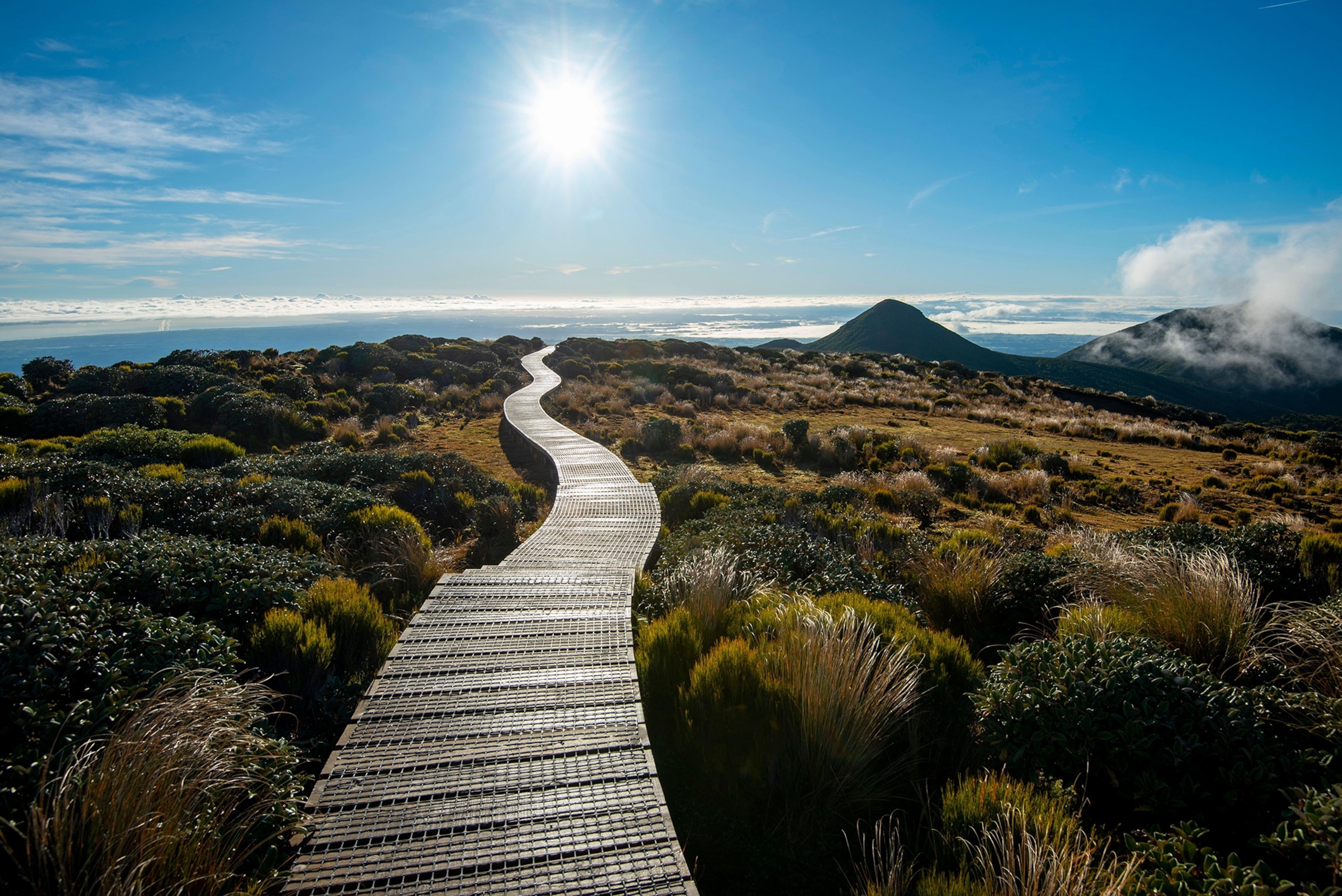Pouakai Circuit Track - New Zealand