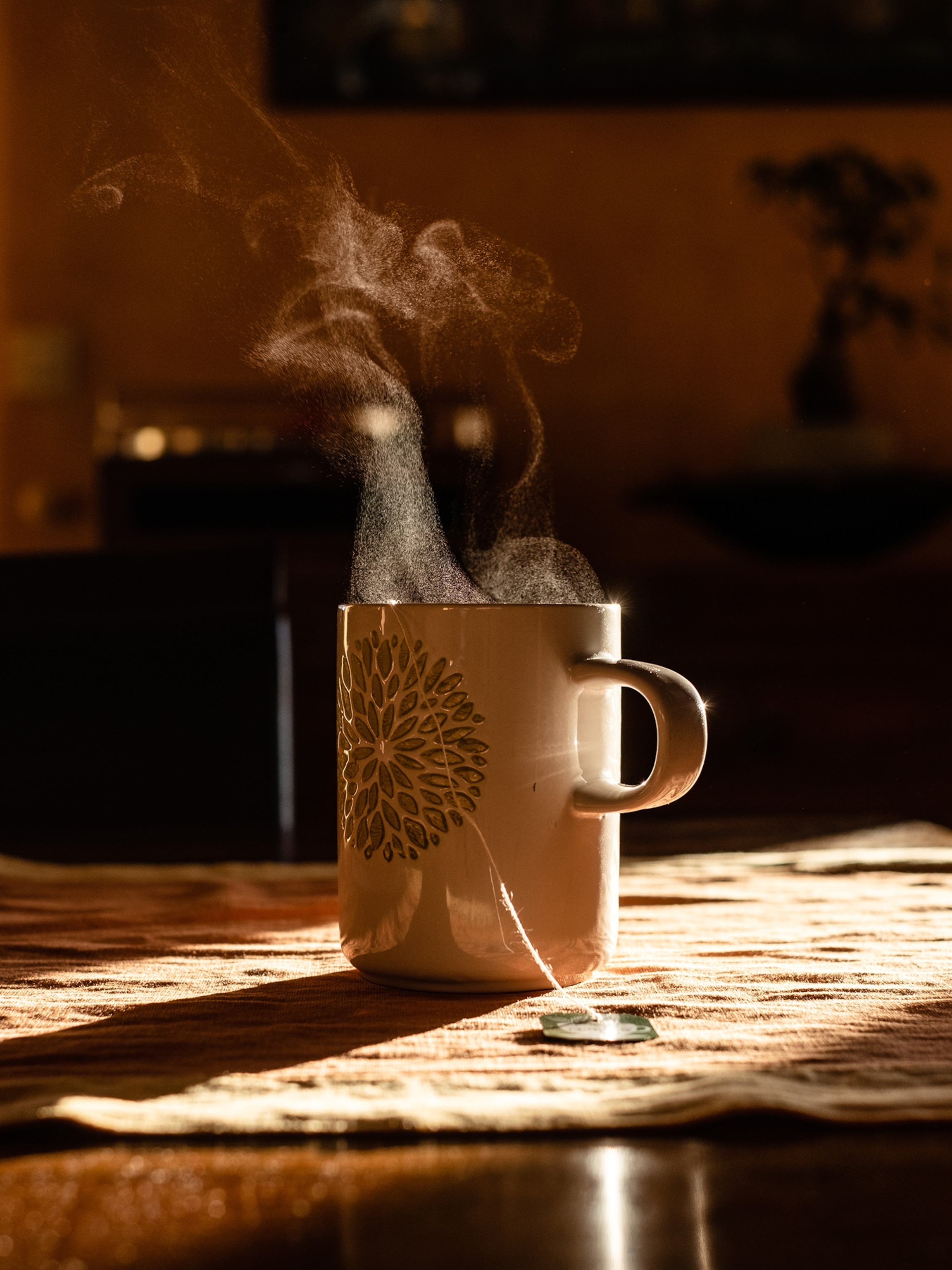 France, Occitania, Haute-Garonne, Toulouse, 2023-01-04. Illustration of an herbal tea with smoke coming out of the cup in a ray of light. Photograph by Lilian Cazabet / Hans Lucas.