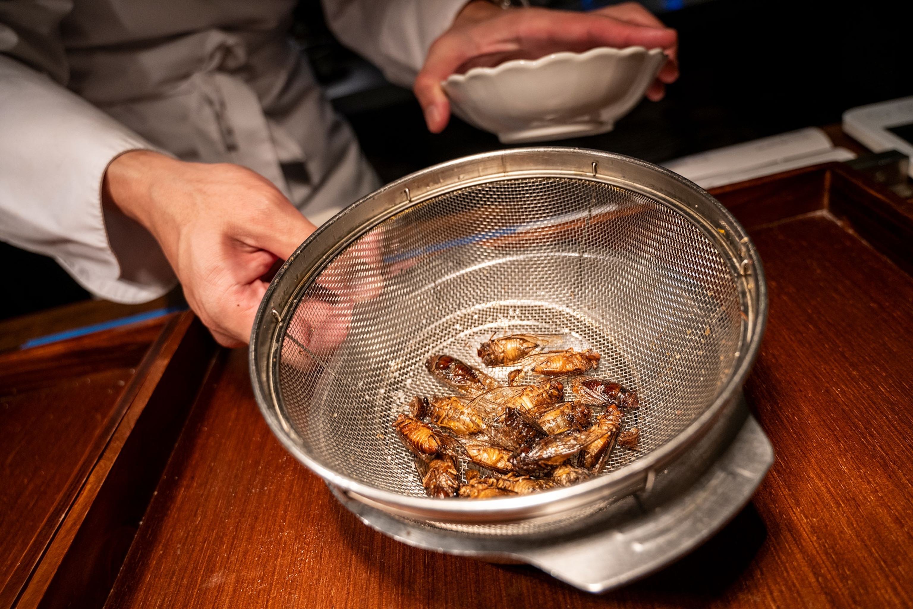 A hand holding out a metal strainer with insects prepared to eat inside over a dark wood counter.