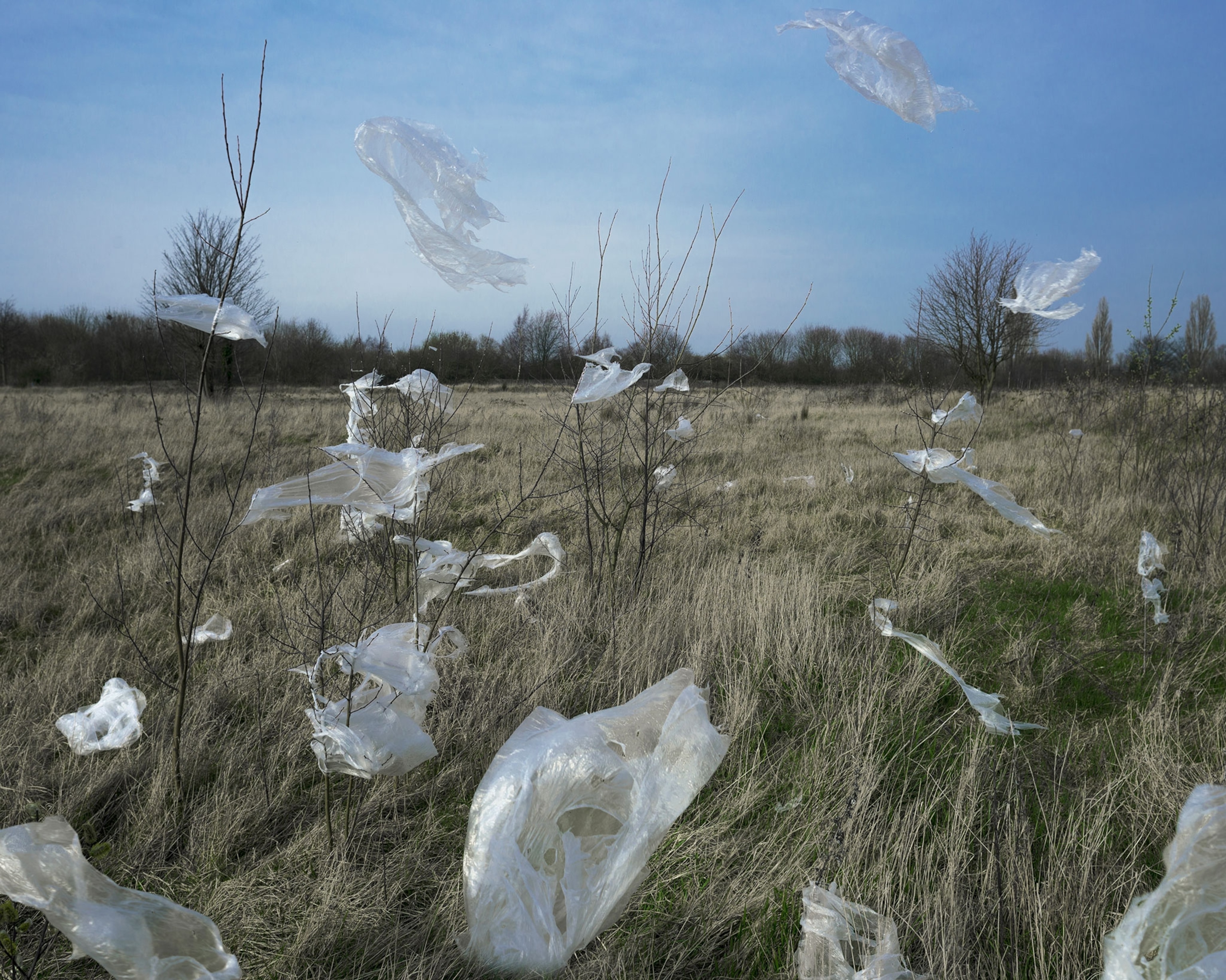 plastic in the wind