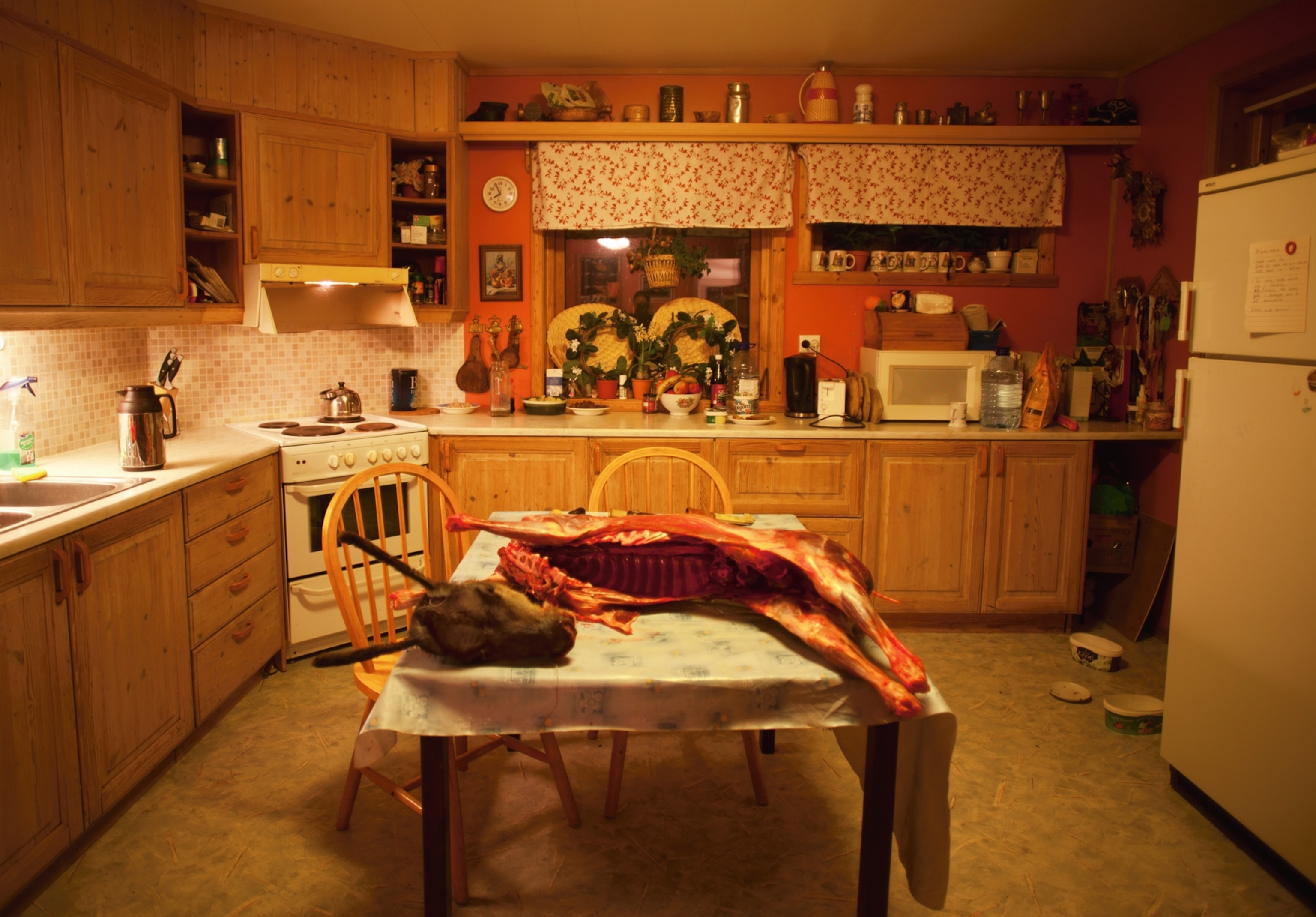 a slaughtered reindeer on a kitchen table in Kautokeino, Norway