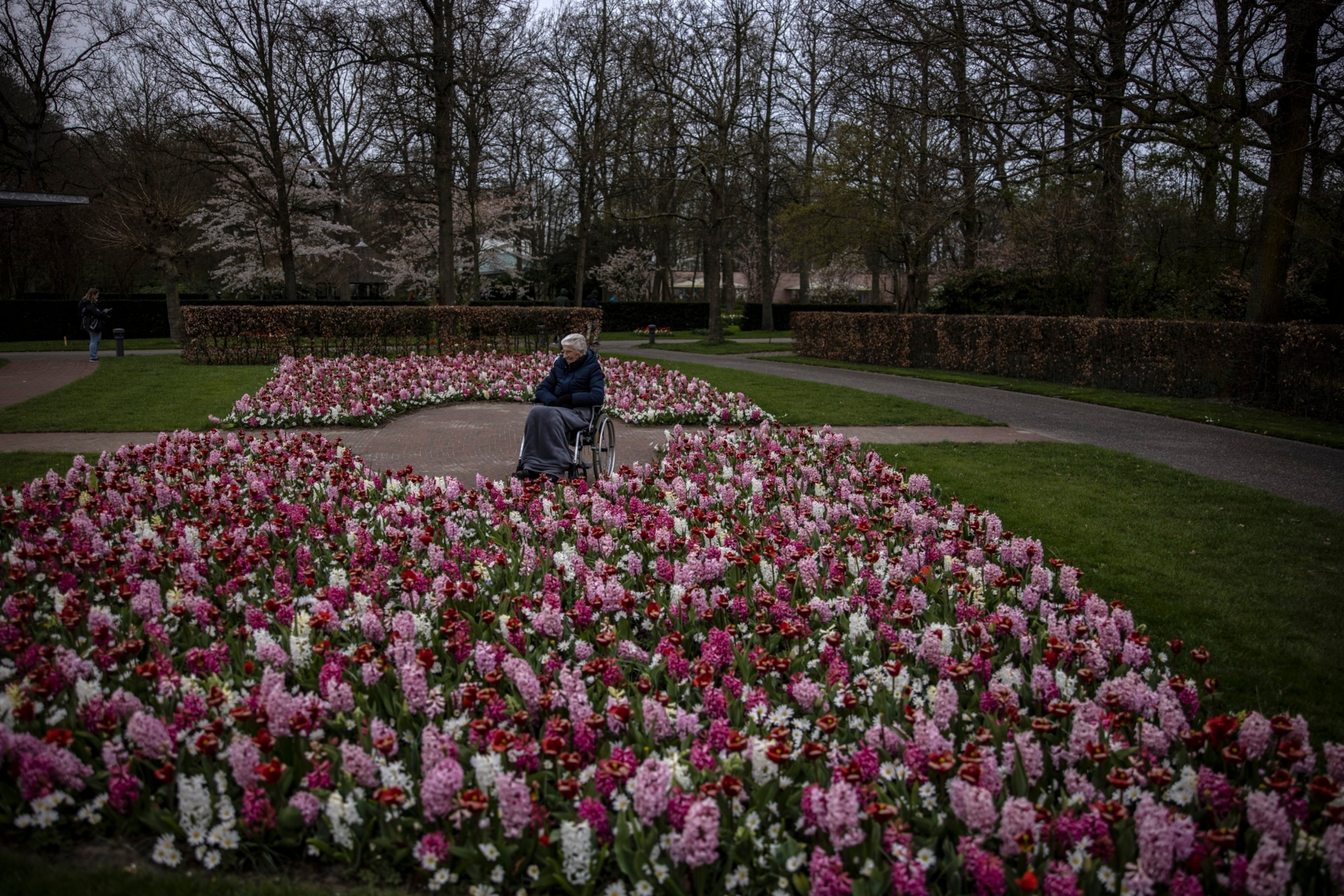 A older woman in a wear chair sits among a bed of flowers