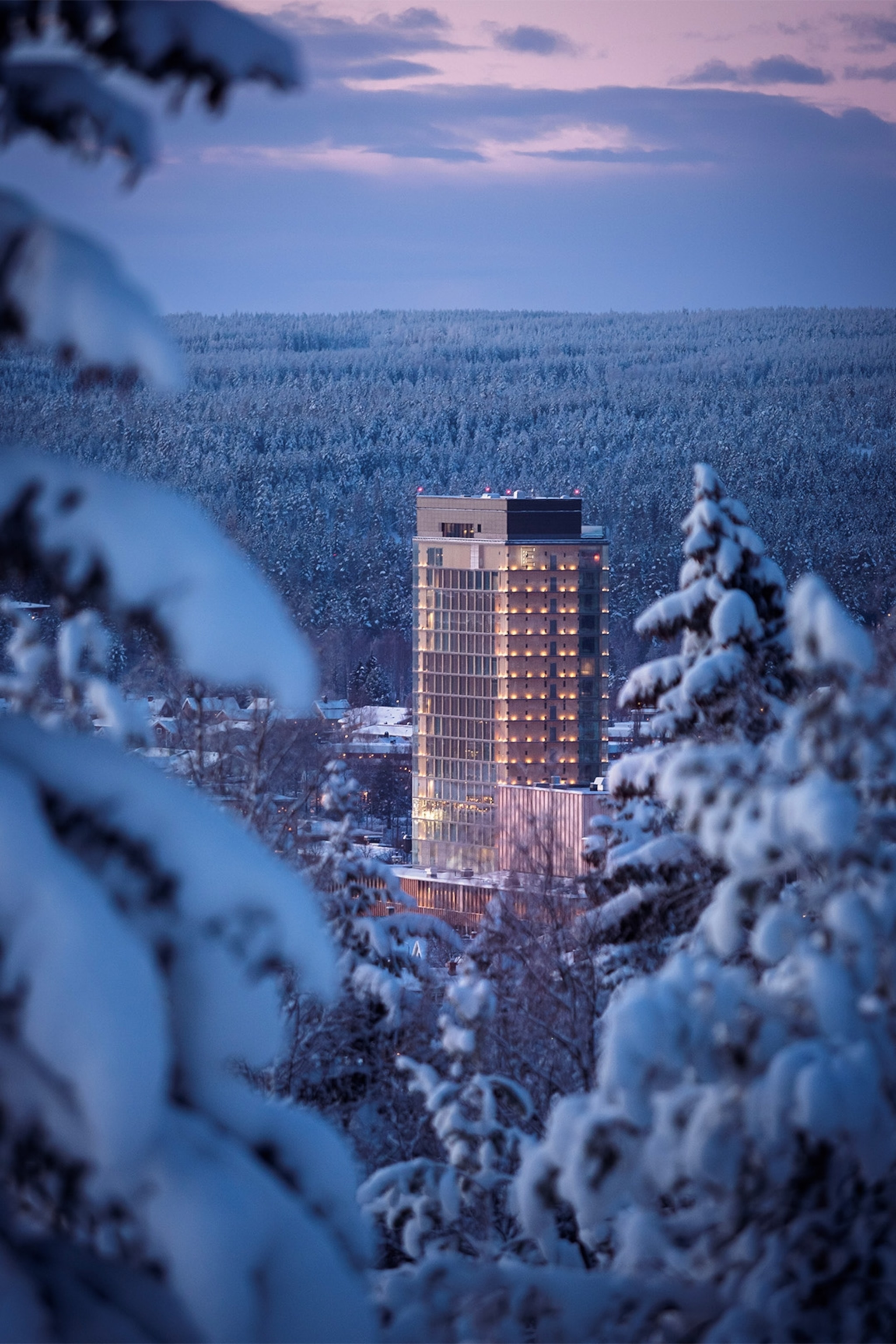a hotel among snowy trees