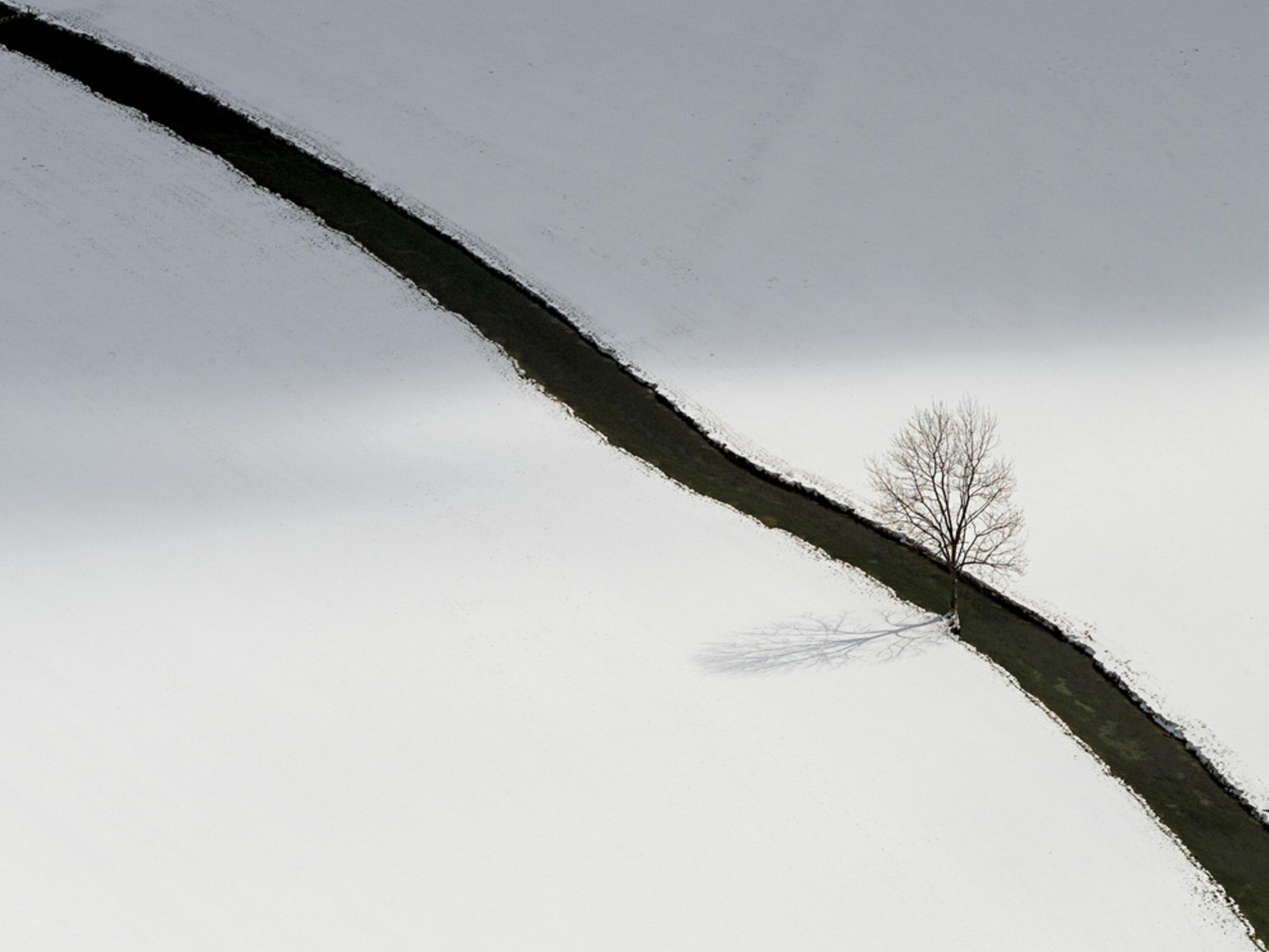 Winter landscape