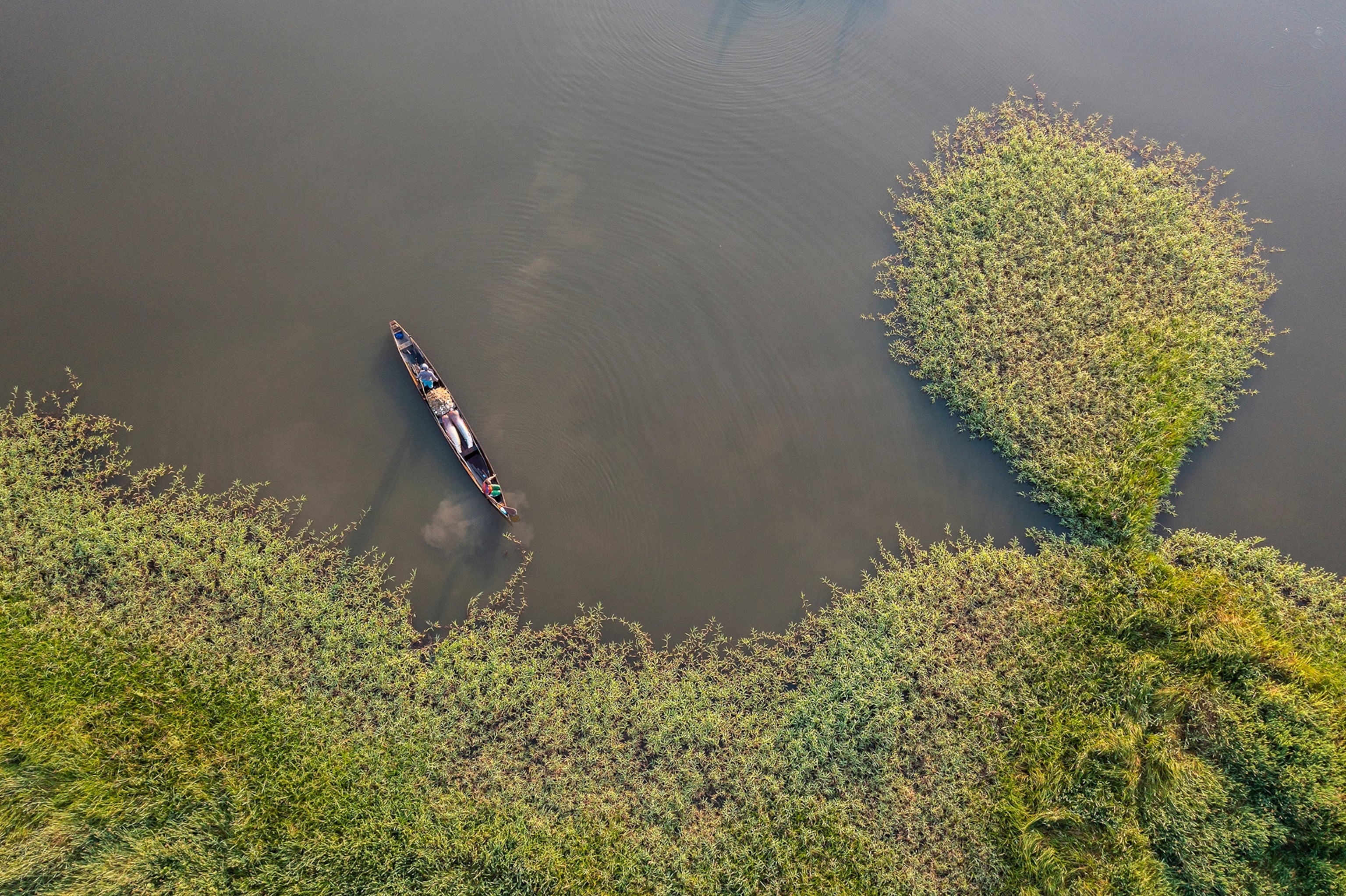 Fisherman going out at sunrise to fish for arapaima
