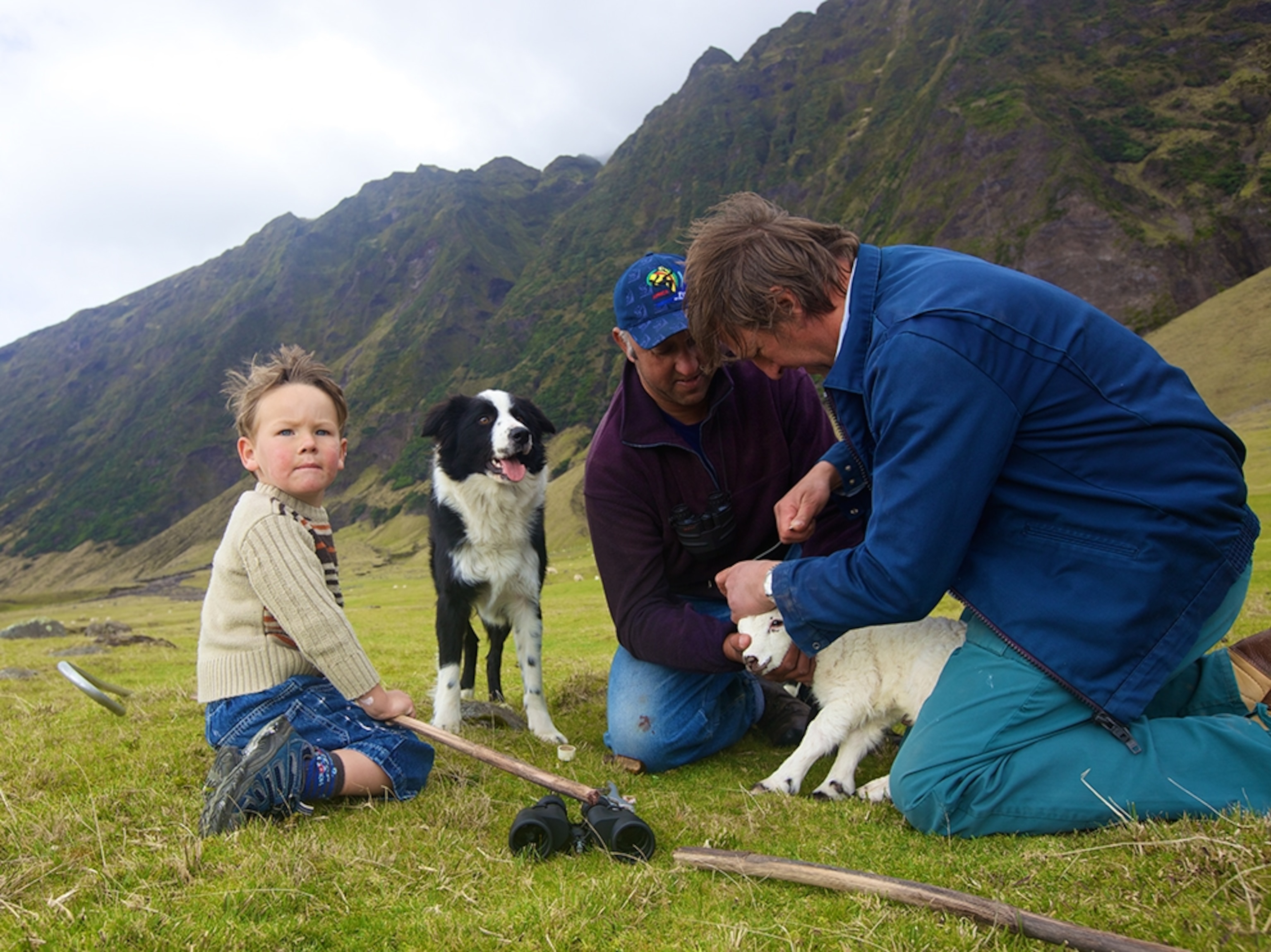 locals tending to a lamb