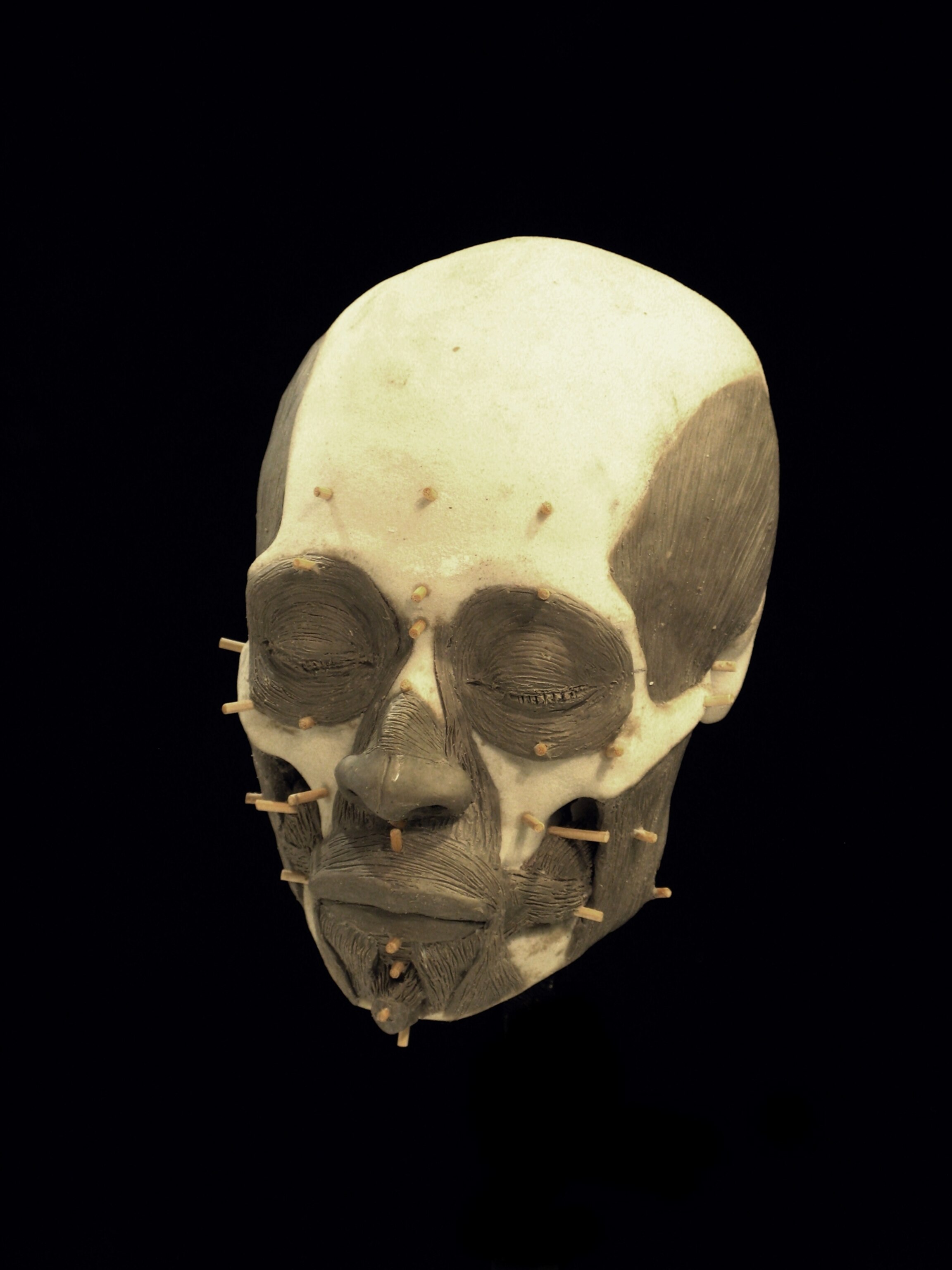 facial reconstruction of the Wari Queen of Peru