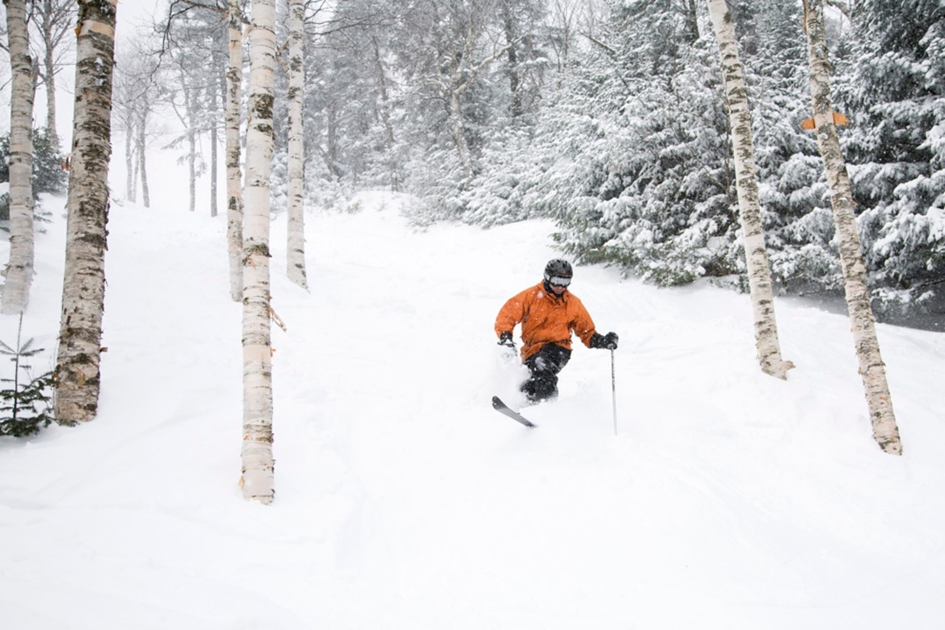 a skier skiing at Mad River Glen in Waitsfield, Vermont