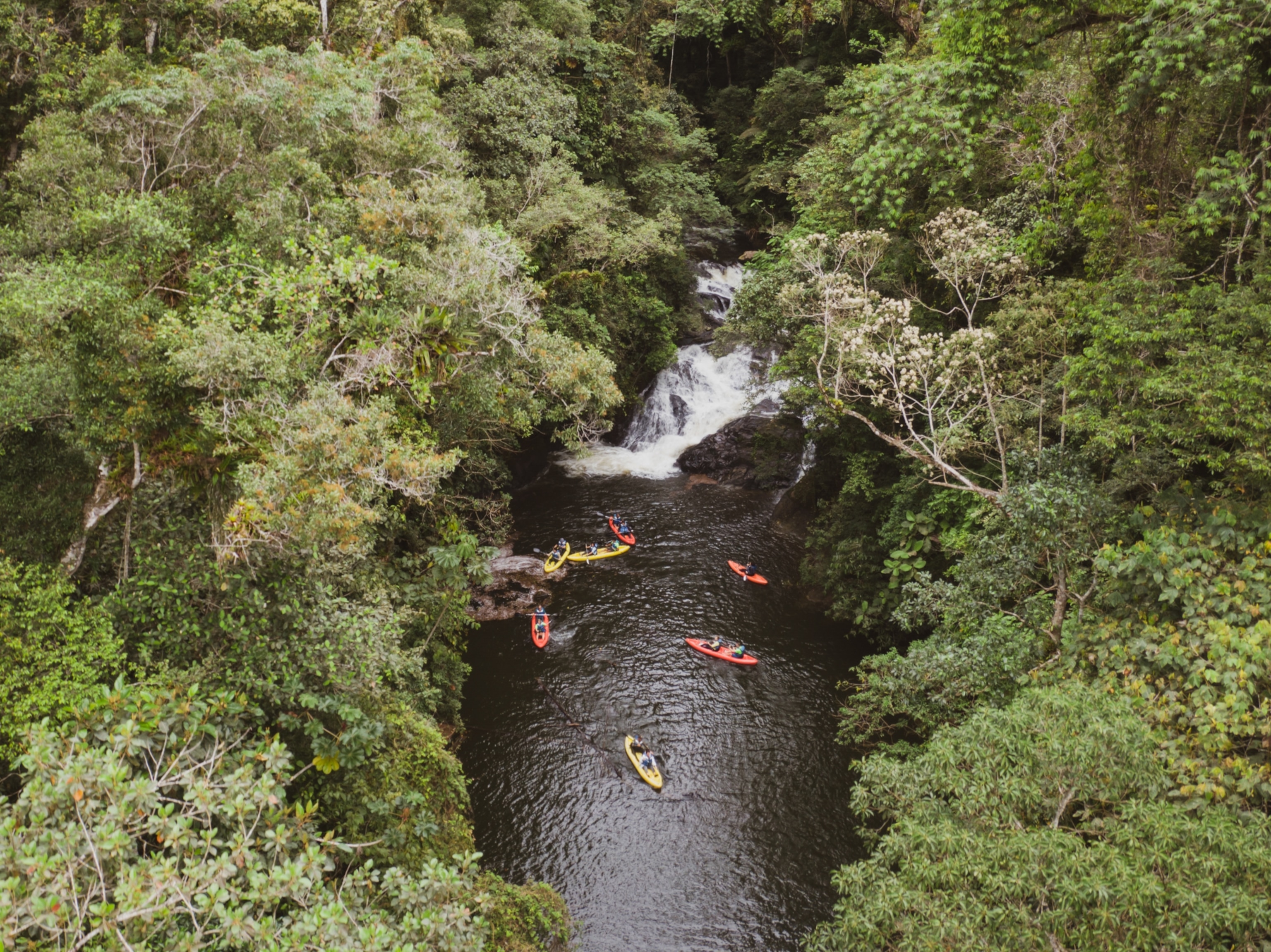 Aerial photograph of kayakers on a river in the Atlantic Forest of Brazil.