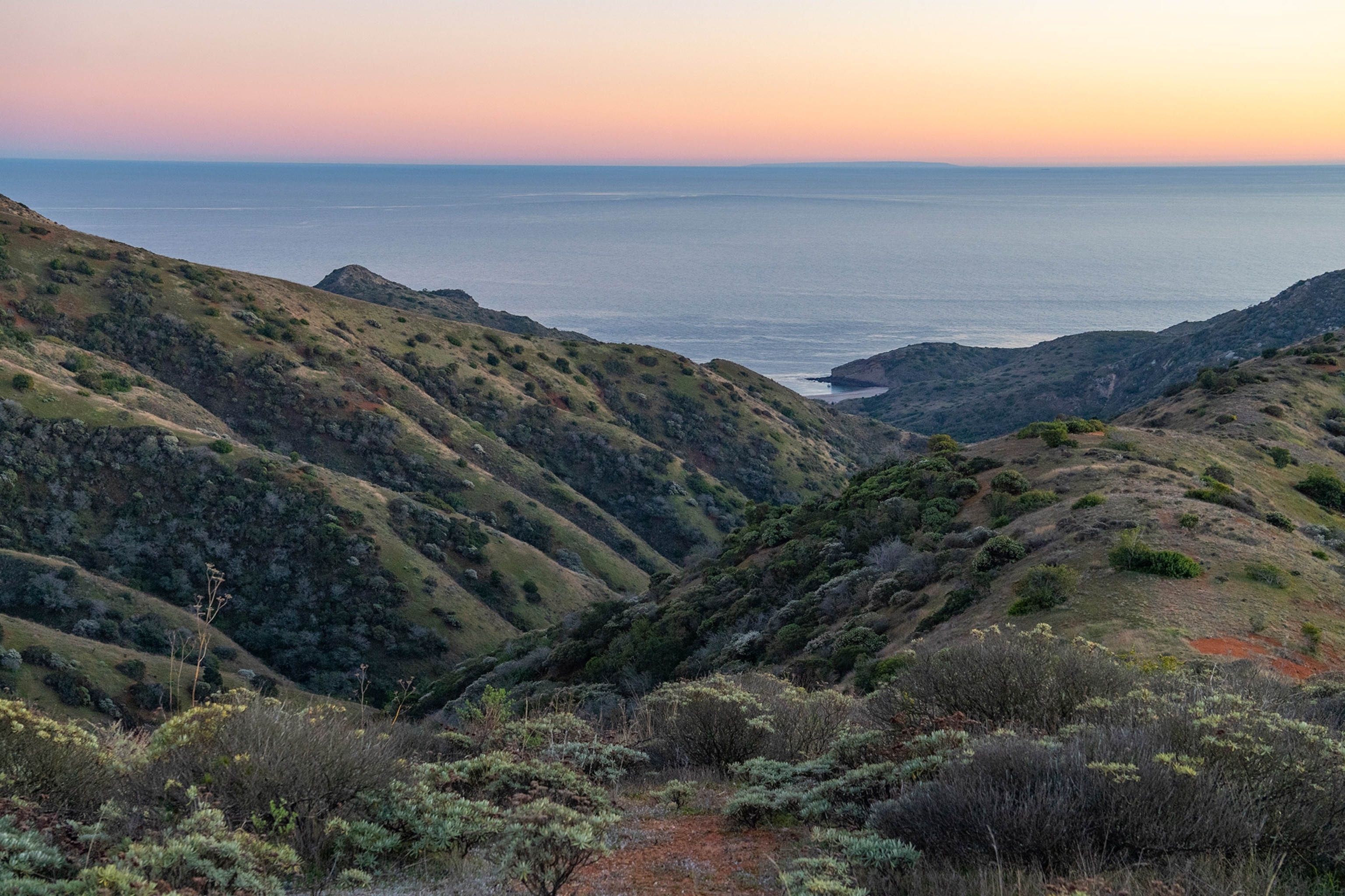 Hills roll towards the ocean on Santa Cruz Island amid a pink sky