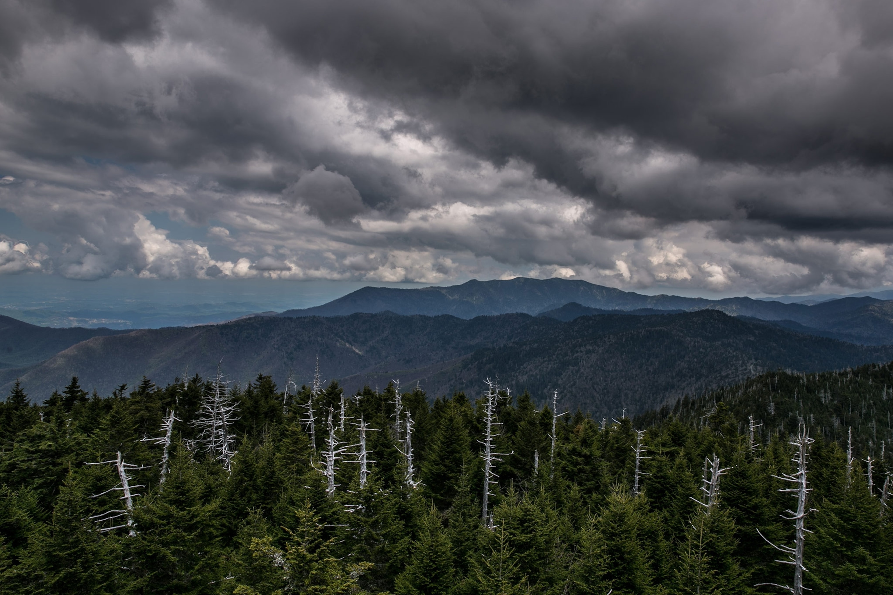 a northeast view from the Clingmans Dome overlook tower in North Carolina