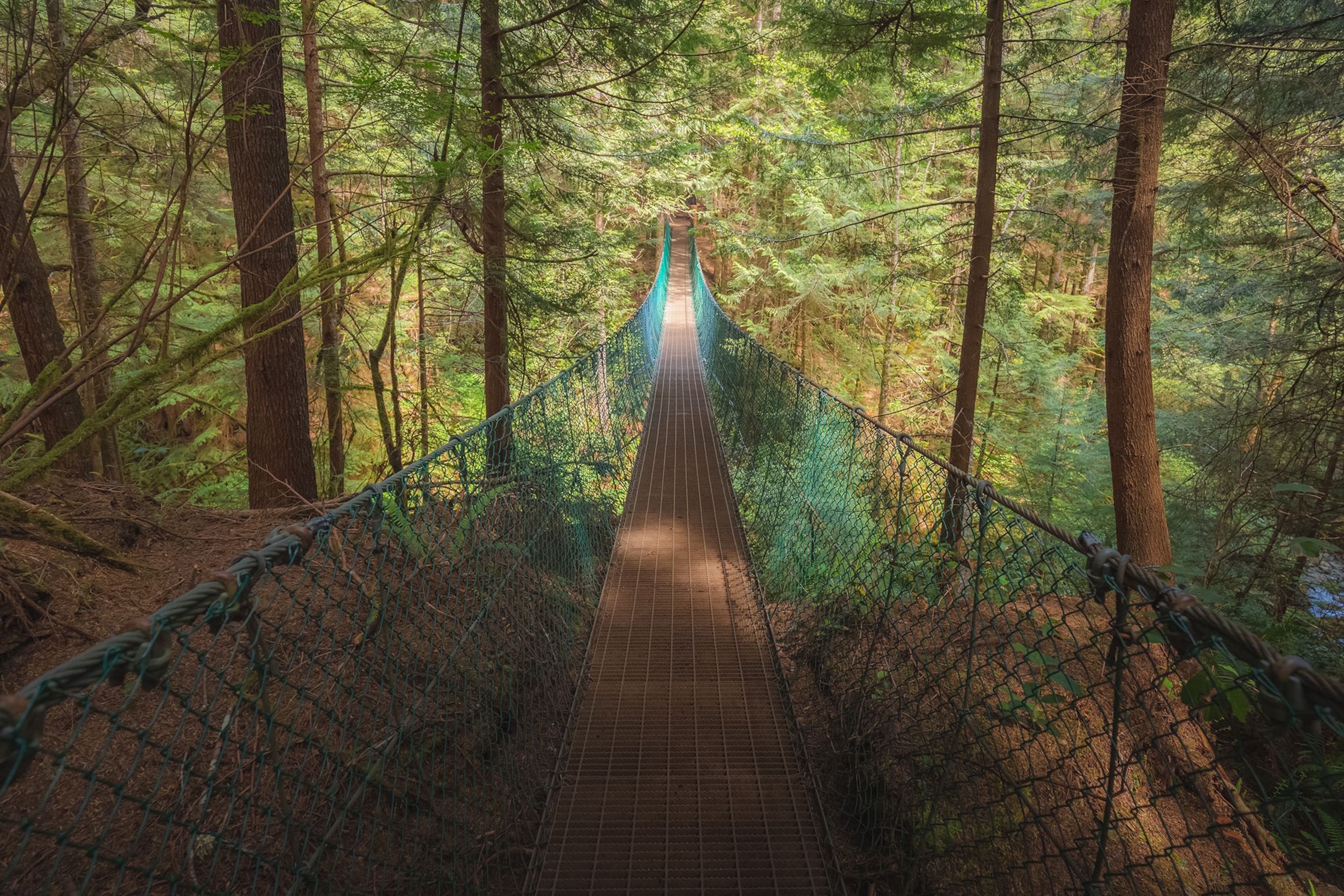 Theforest suspension bridge over Pete Wolfe Creek on the Juan de Fuca trail on the way to Mystic Beach on Vancouver Island.