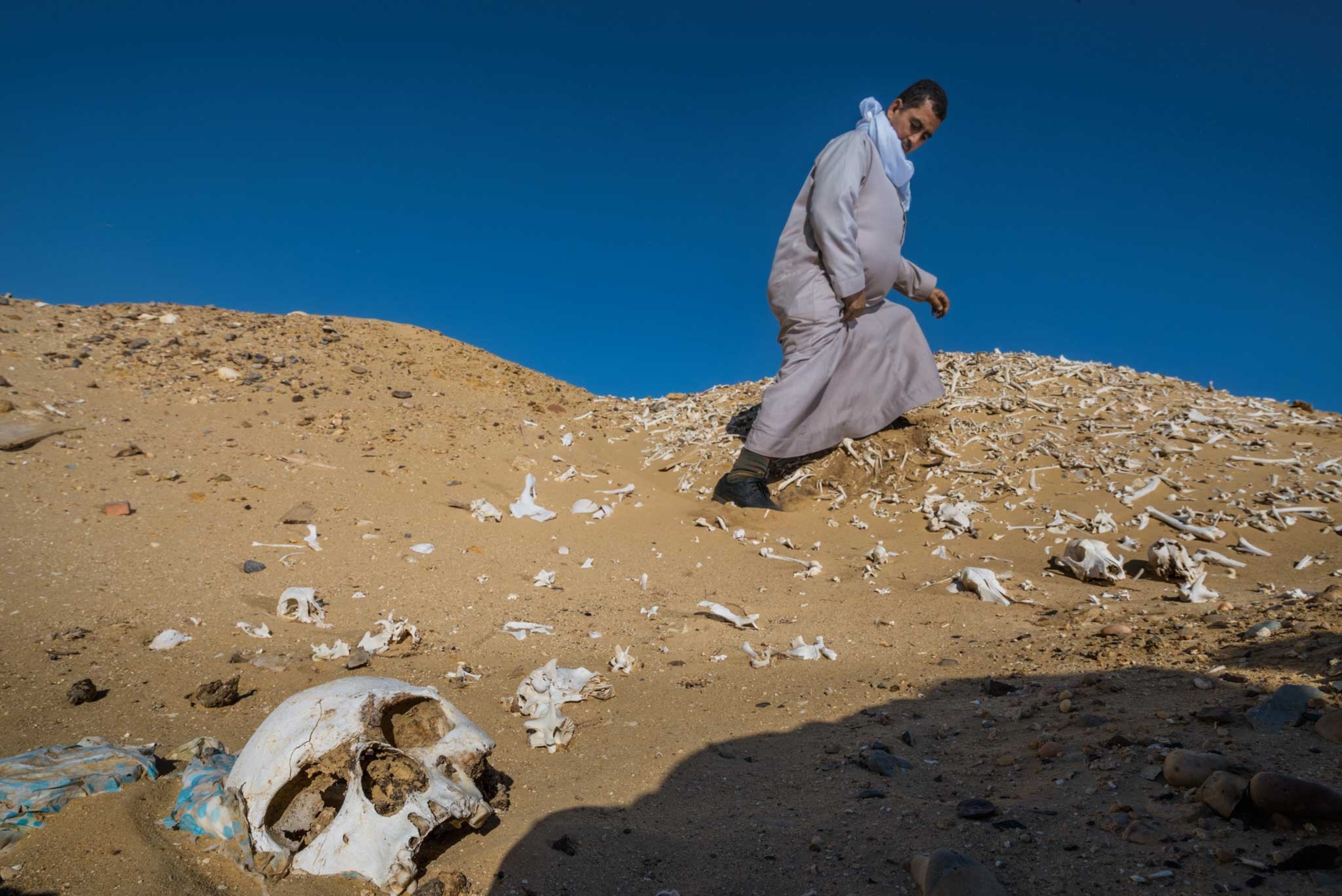 an ancient cemetery littered with human bones