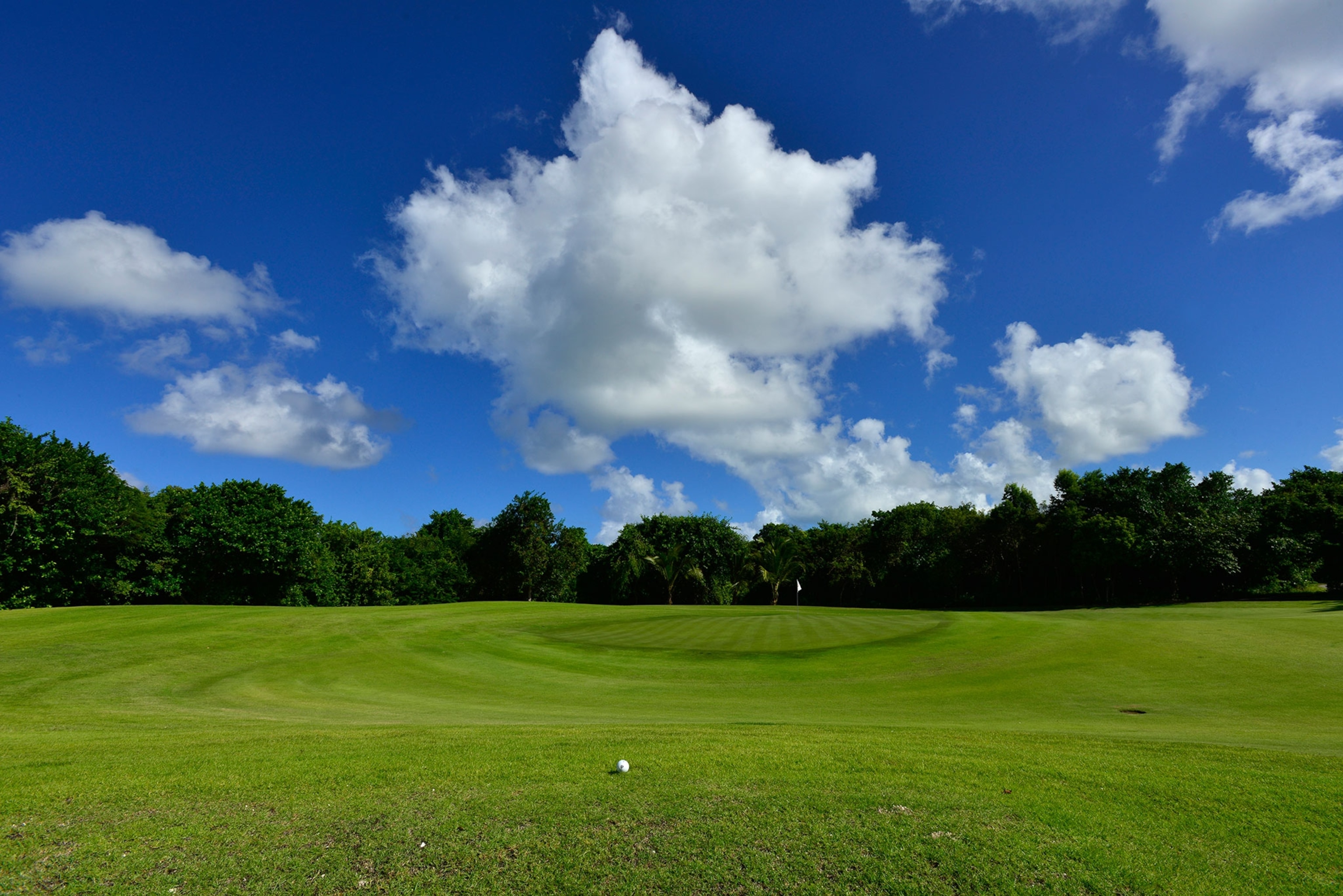 A golf ball in the grass at the Hard Rock Golf Course in Punta Cana