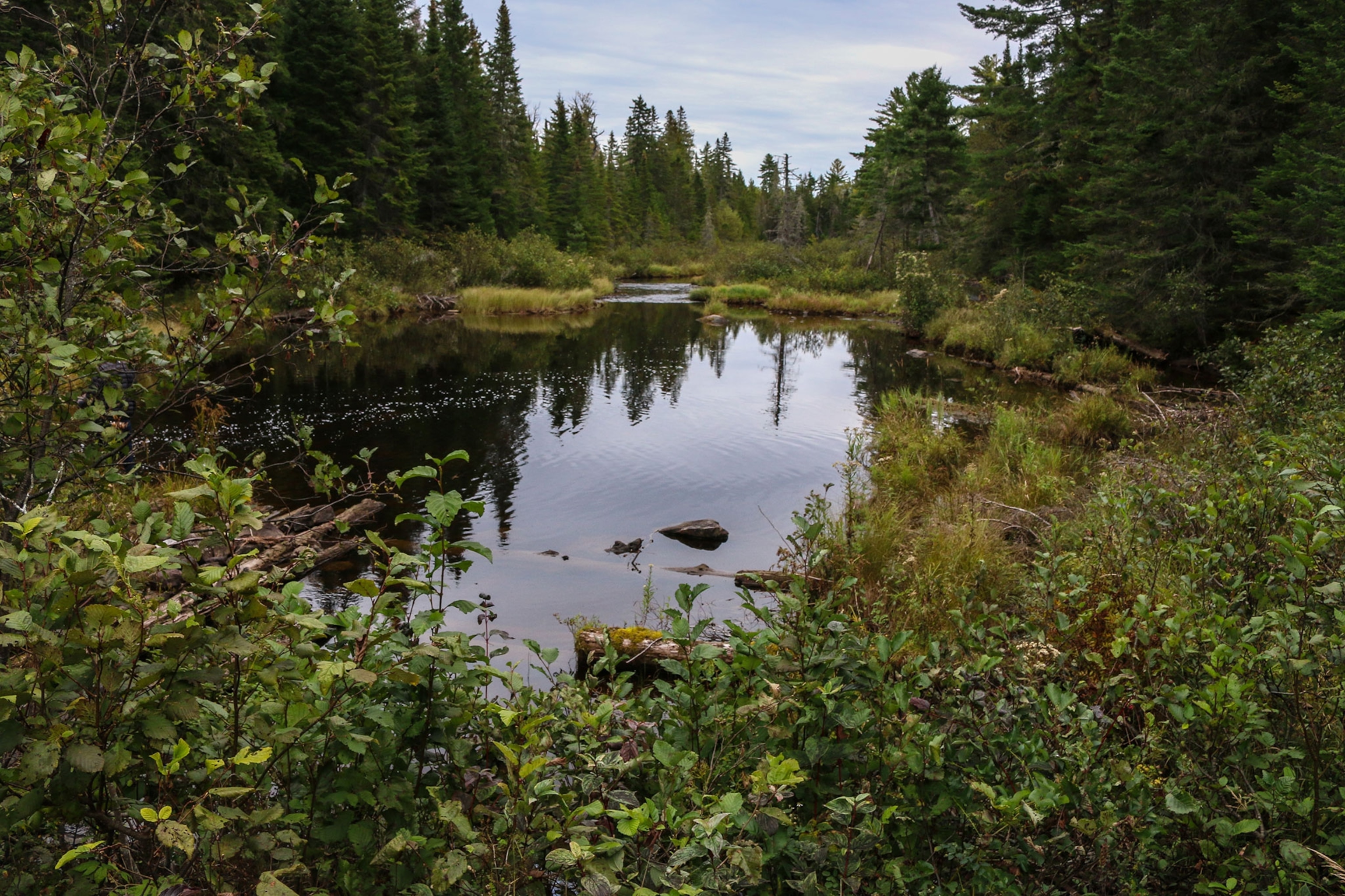 Third Lake near the East Branch of the Penobscot River in Maine