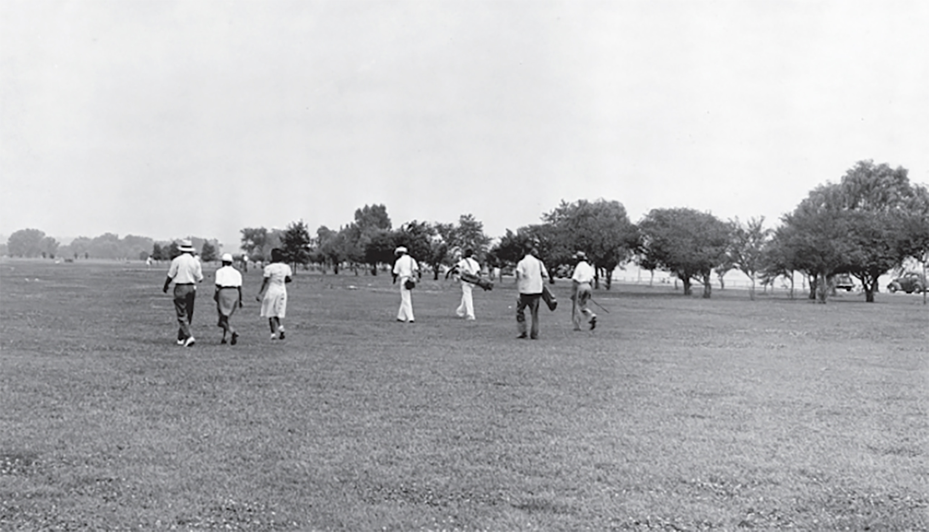 Group of African American working on the lawn.