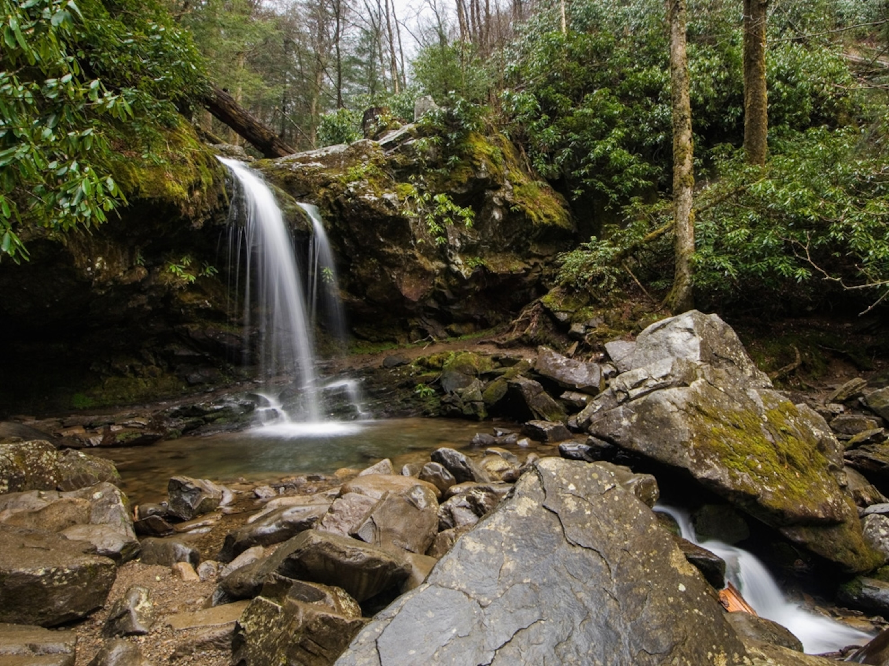 Grotto Falls in Great Smoky Mountains National Park