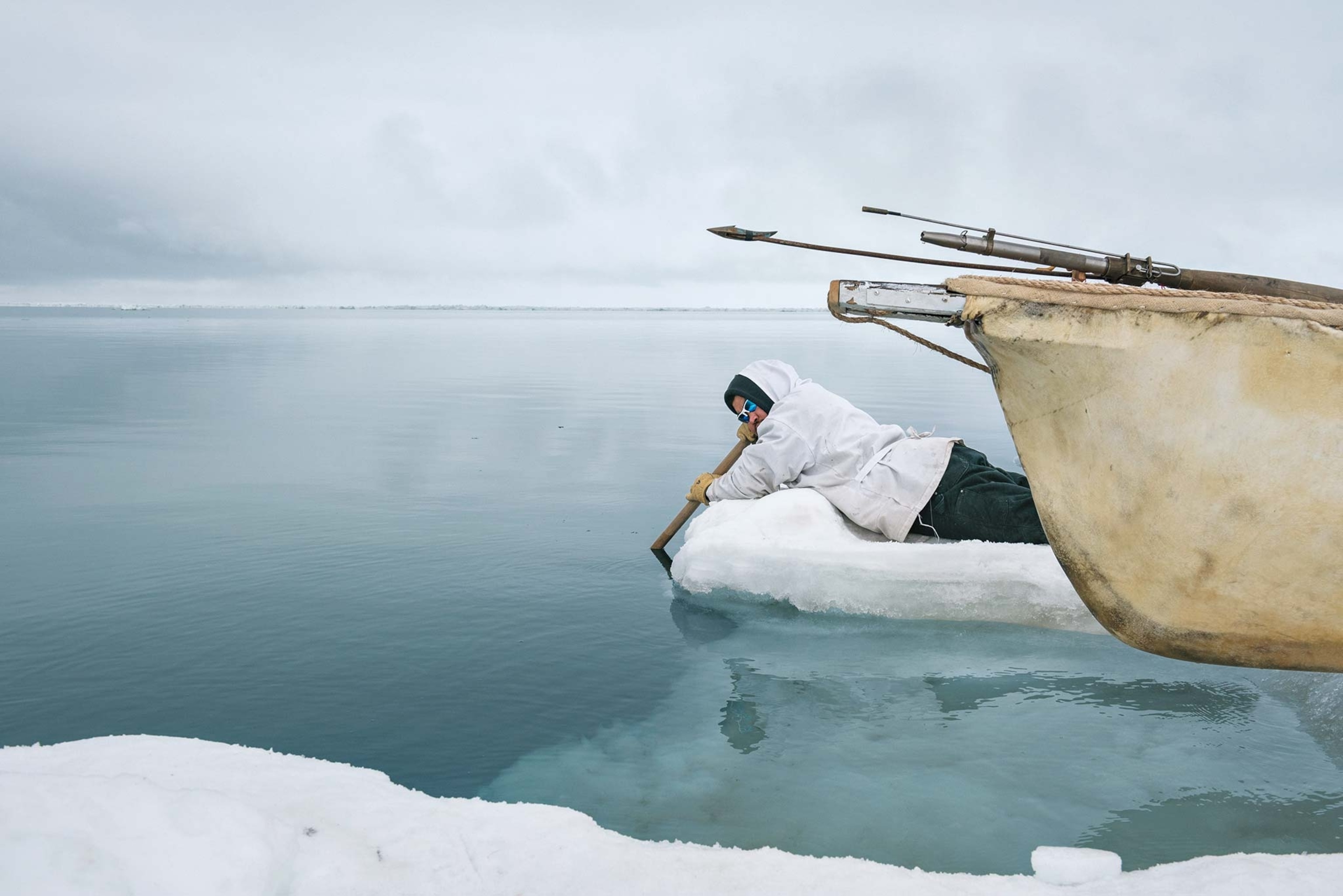 A man hangs off ice holding a wooden paddle in the ocean to find seals and whales through the vibrations