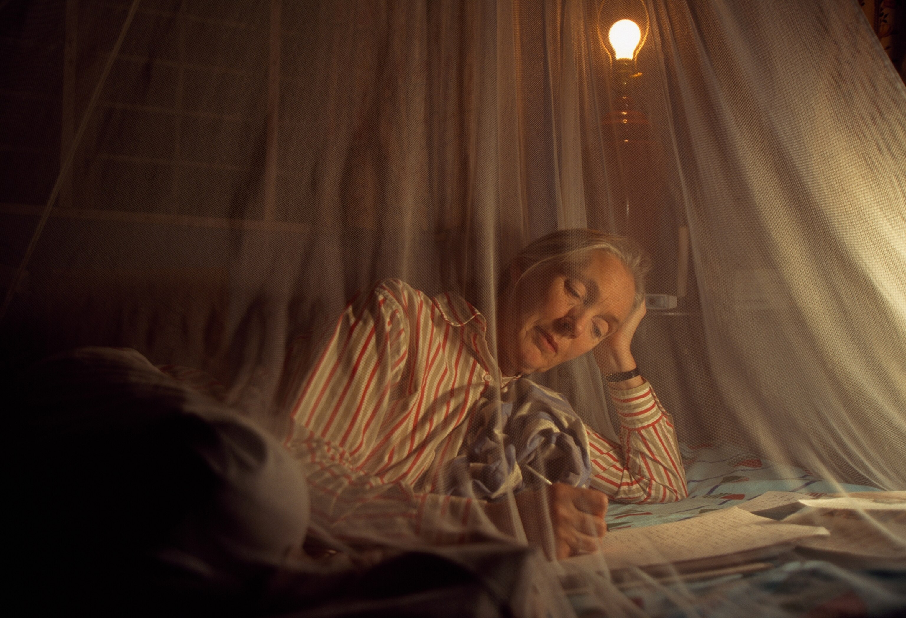 Jane Goodall writing letters