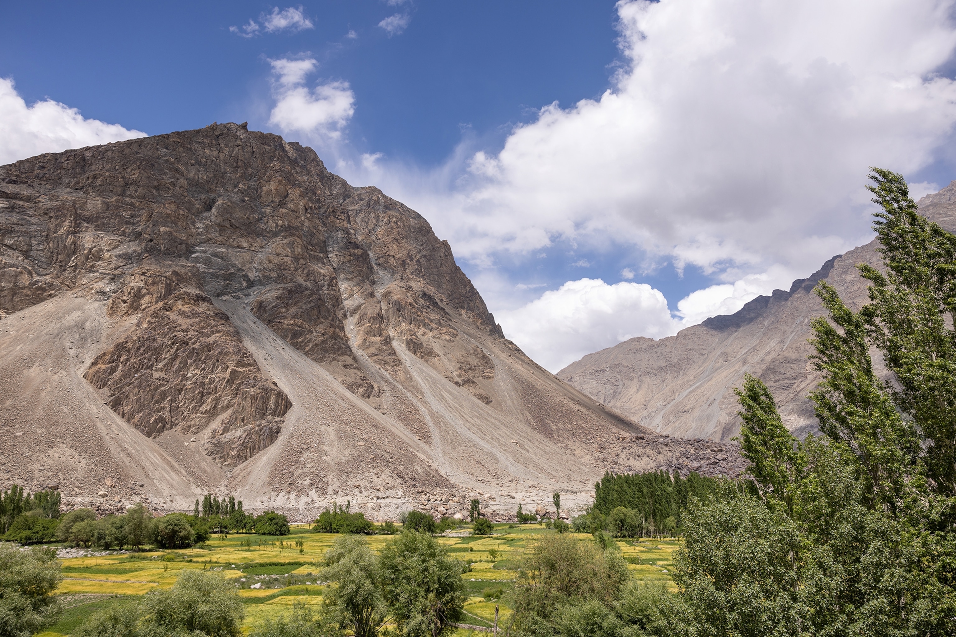 A view into a mountain valley with green vegetation.