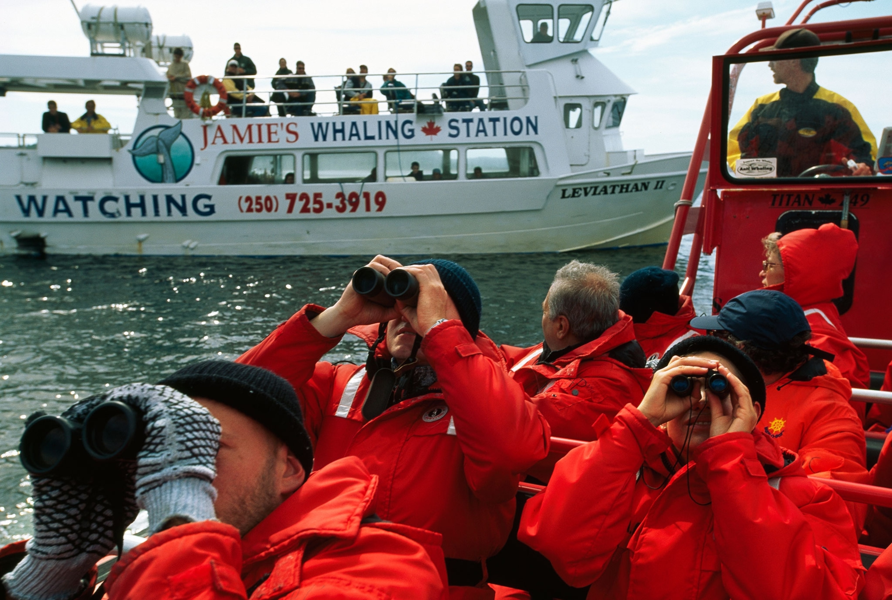 People on a whale/bird watching trip look to the sky with binoculars.