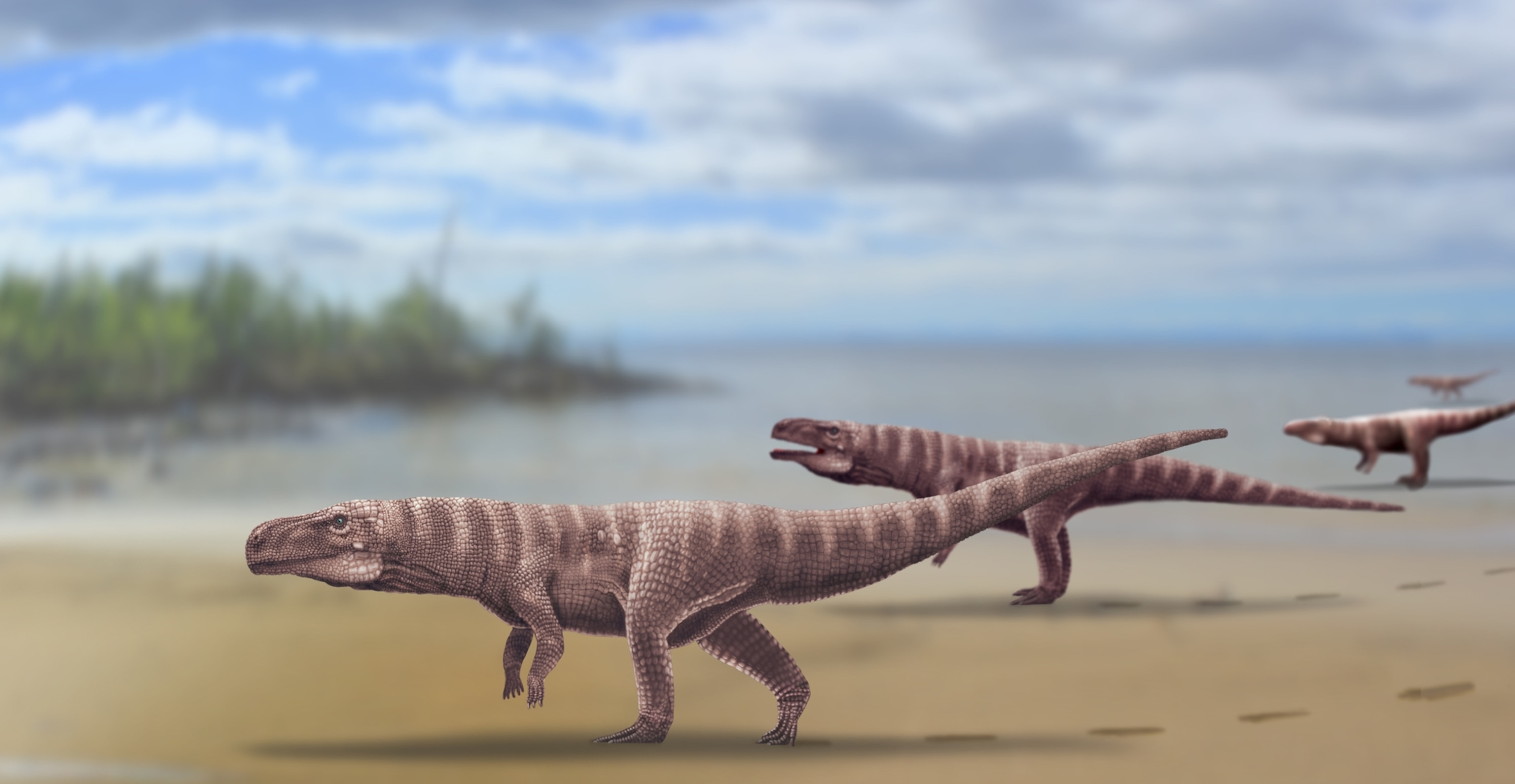 pterosaur footprints