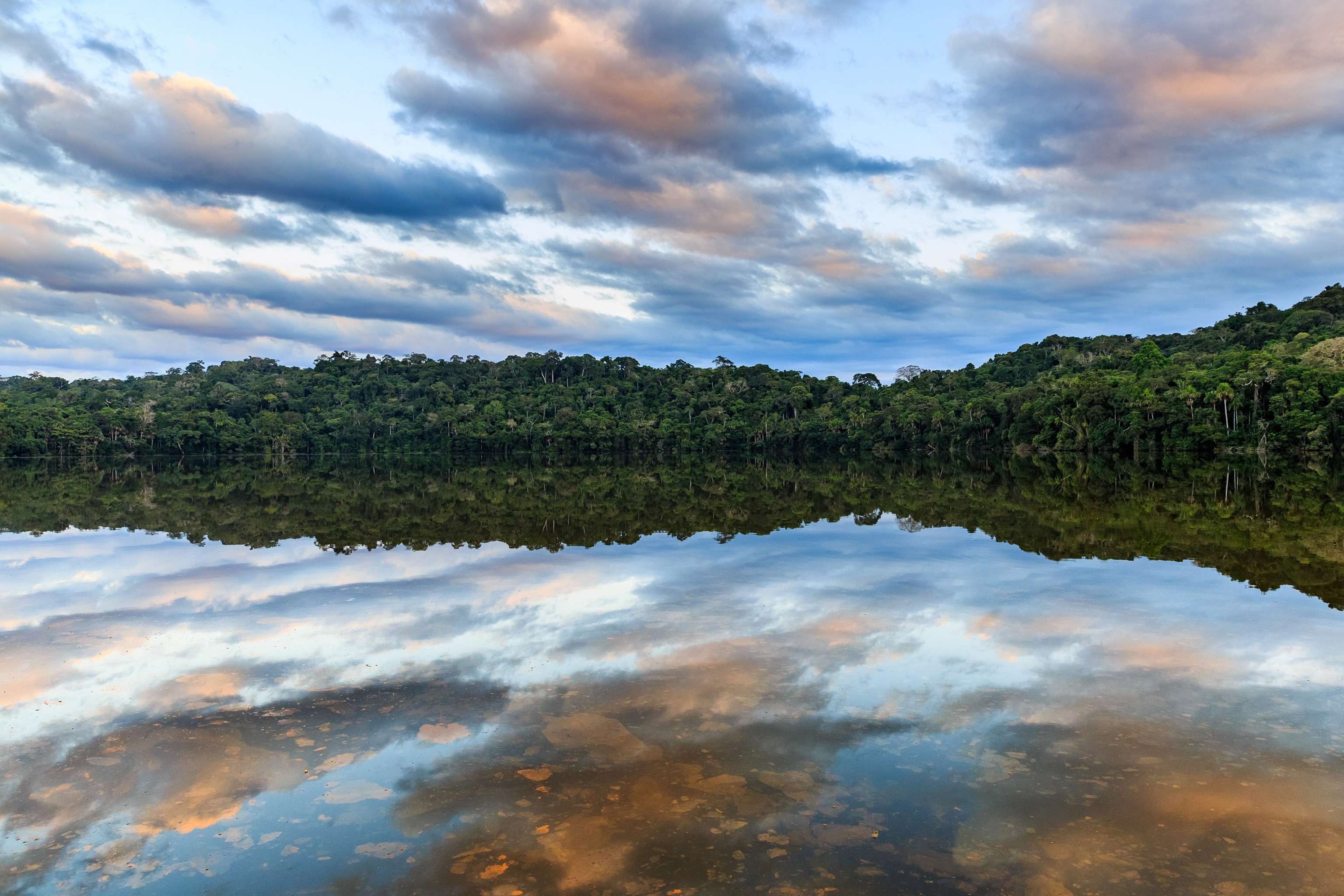 Chalalan lake innMadidi National Park, Bolivia