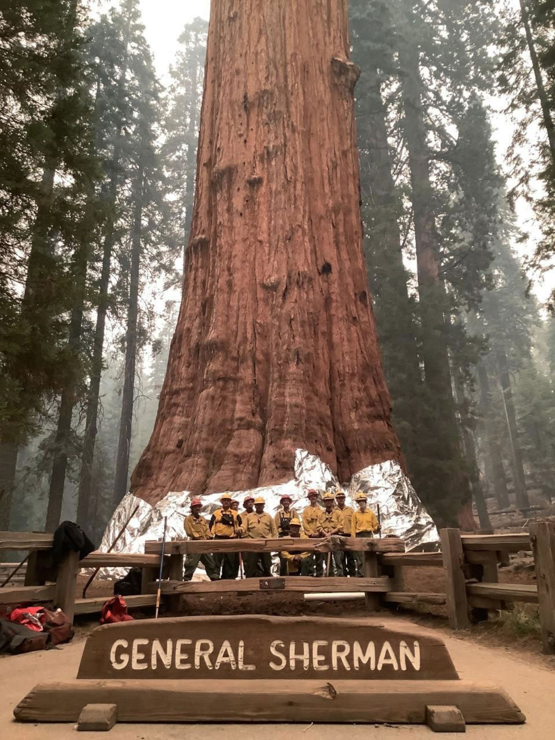 Wildland firefighters pose in front of General Sherman sequoia.