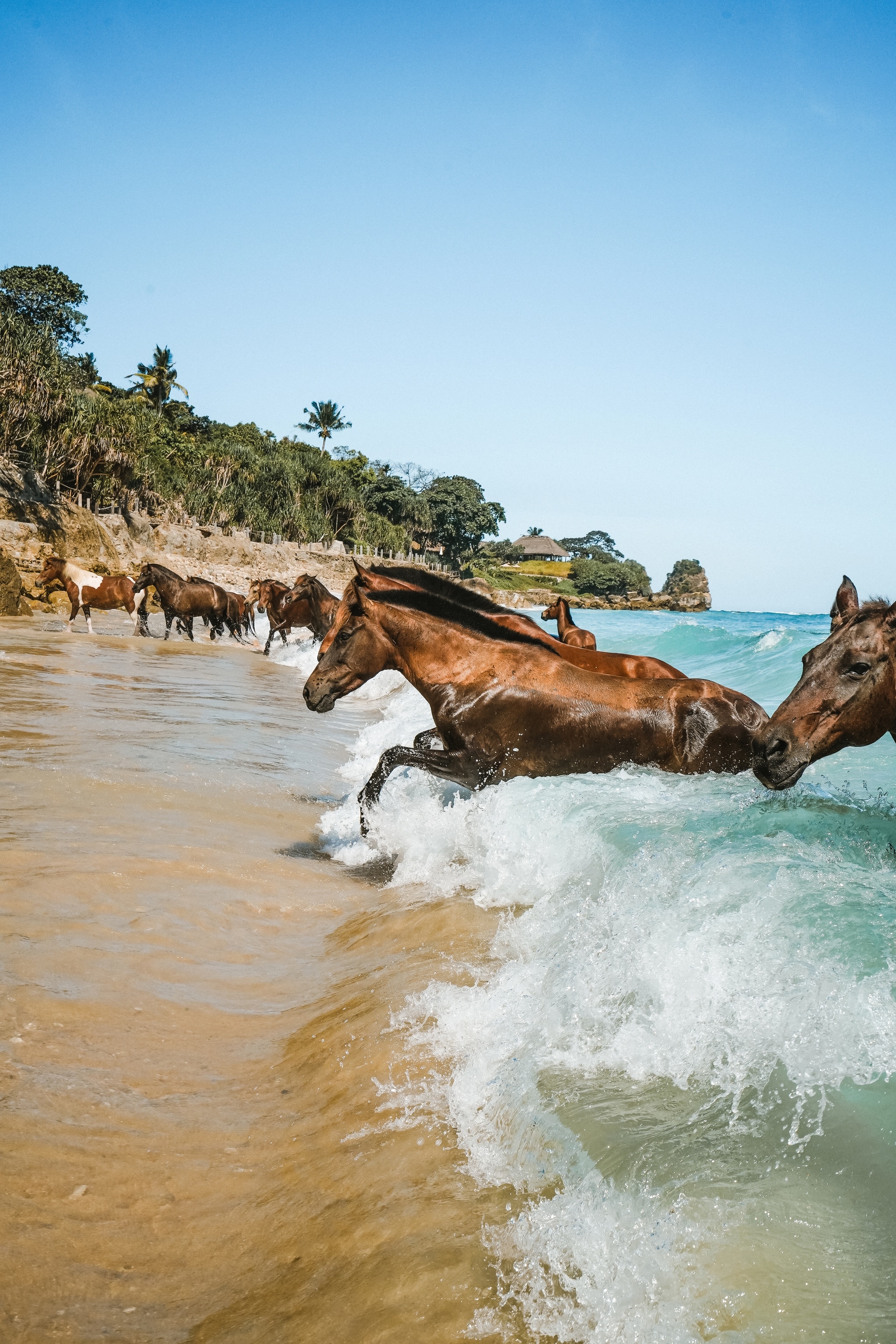 Horses galloping through crashing waves