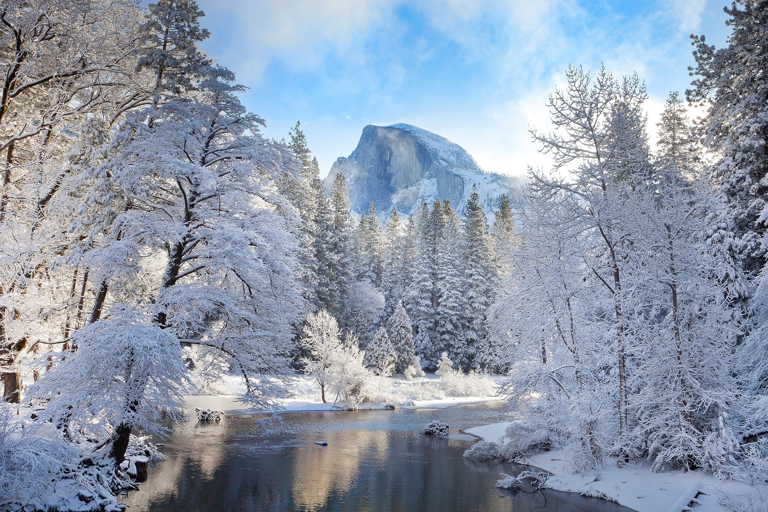 the Yosemite Valley in Yosemite National Park