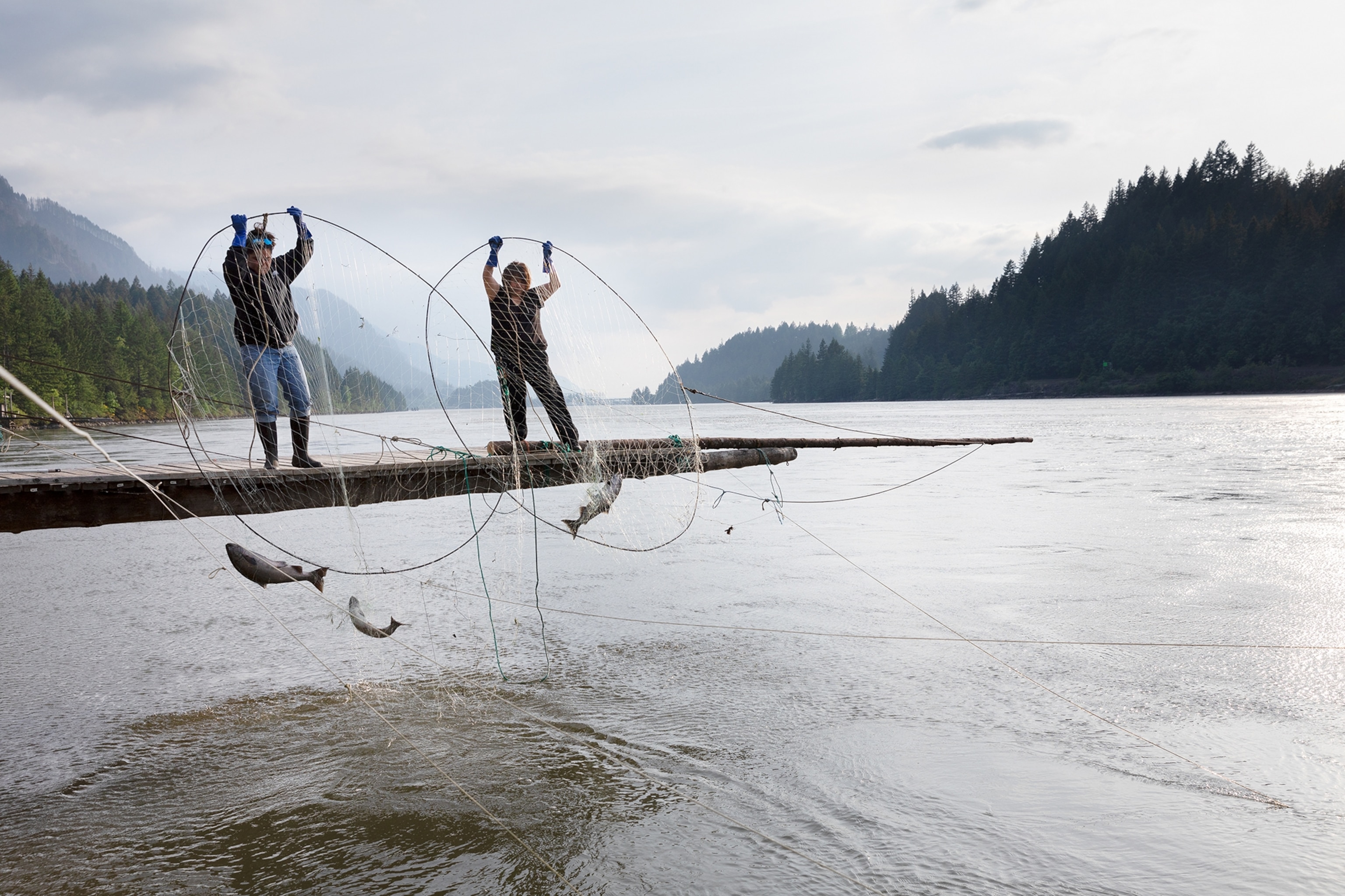 fishermen collecting spring Chinook salmon Cascade Locks, Oregon