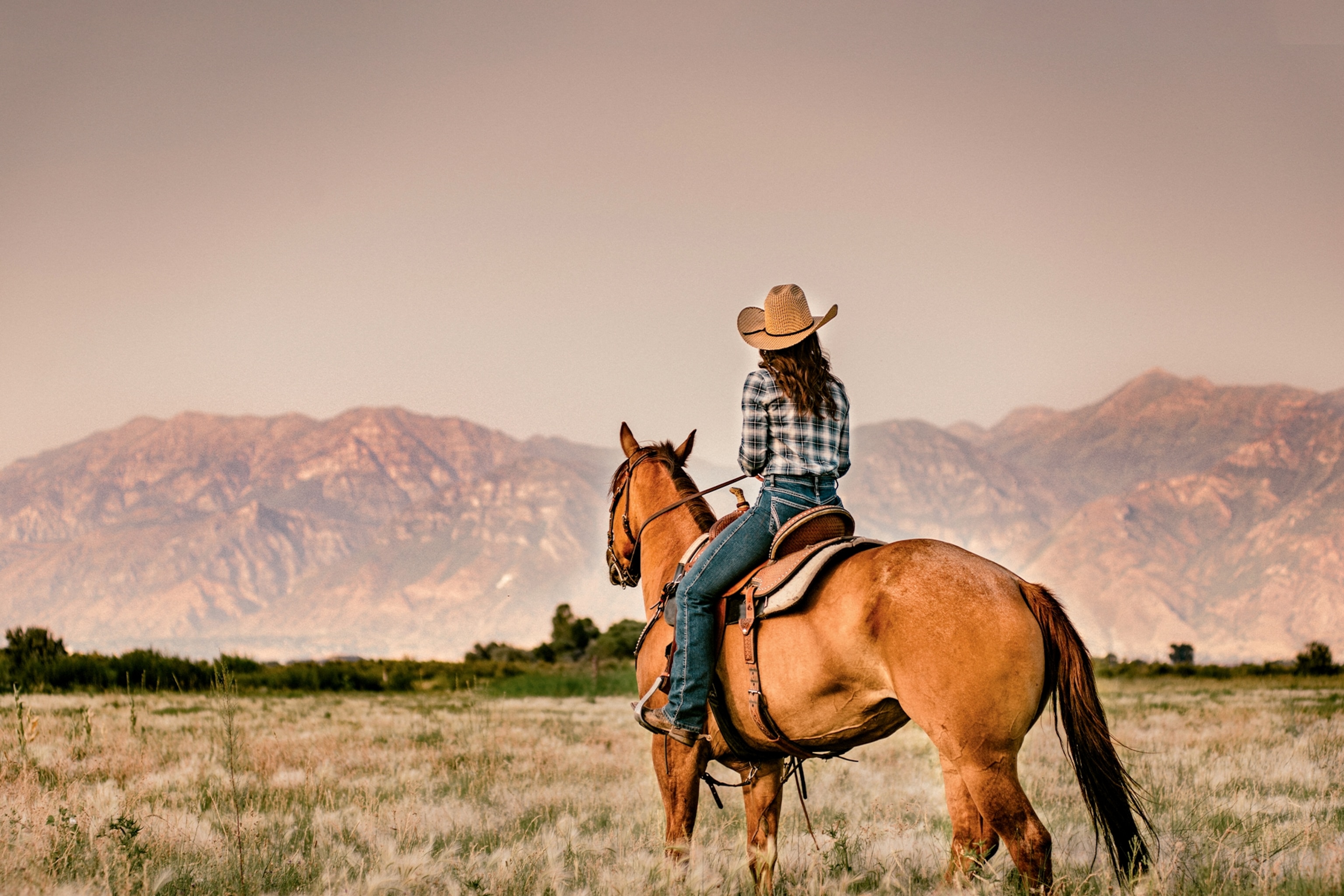 Cowboy