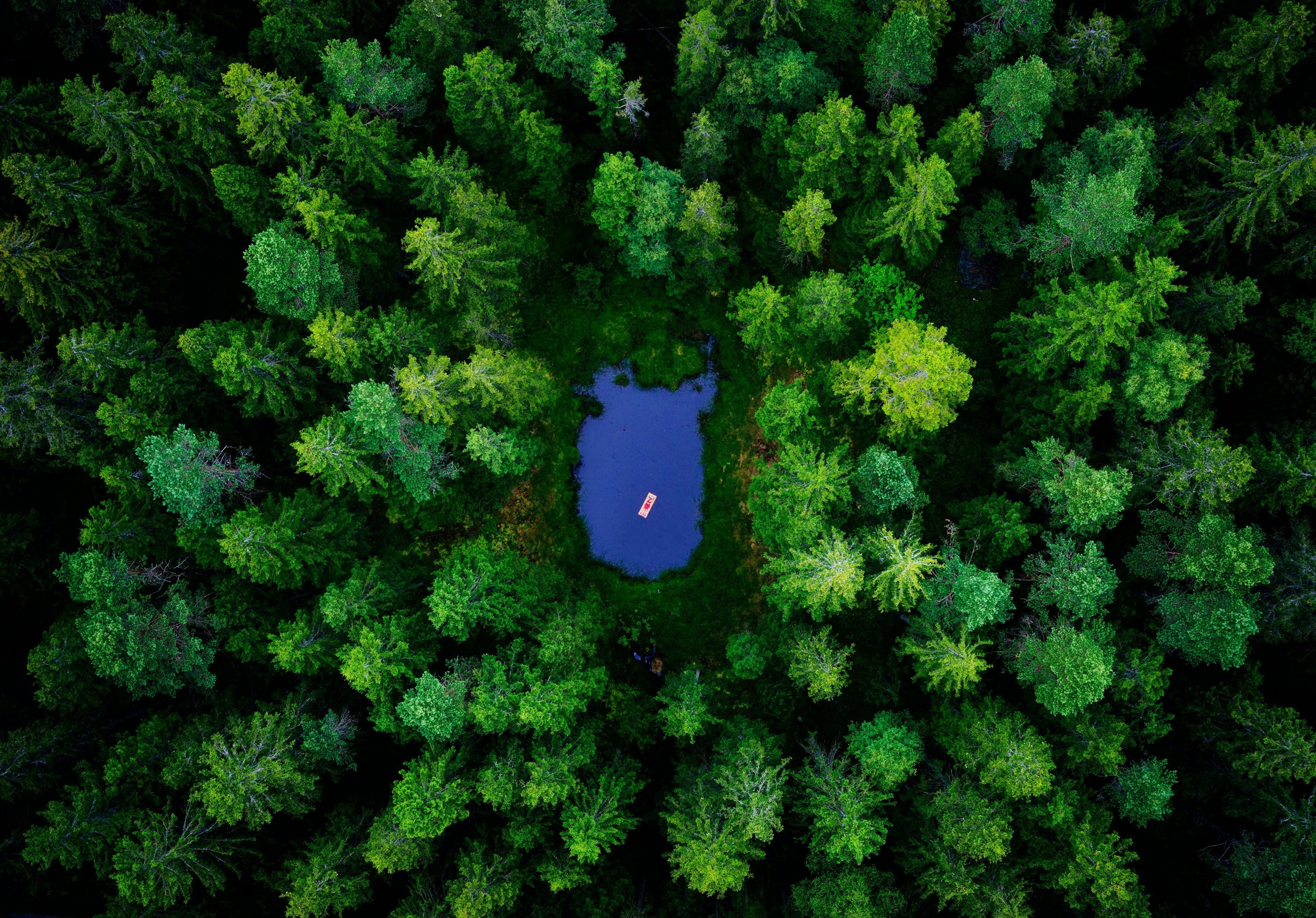 someone floating in a pond in Sweden