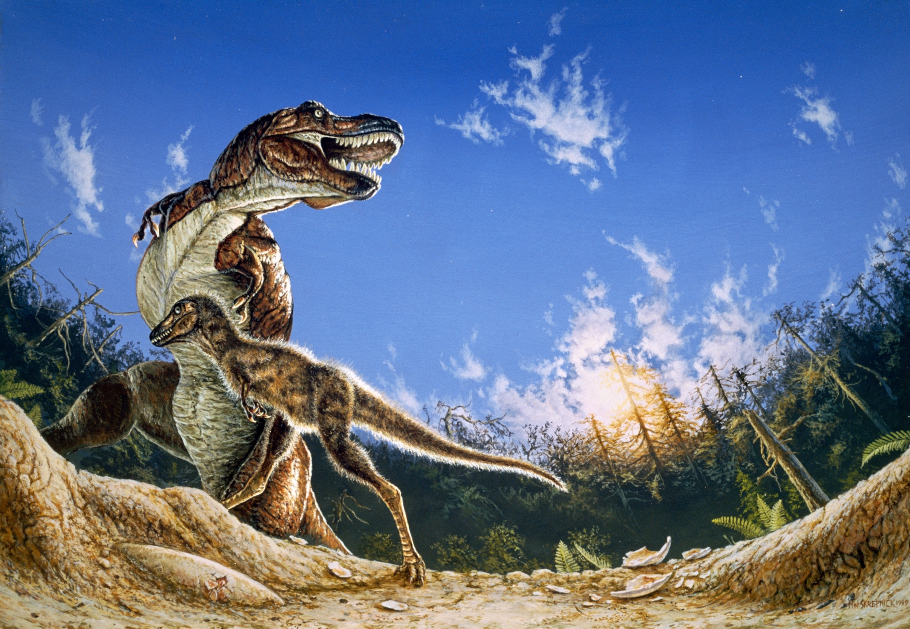 Looking up at adult dinosaur and its baby.