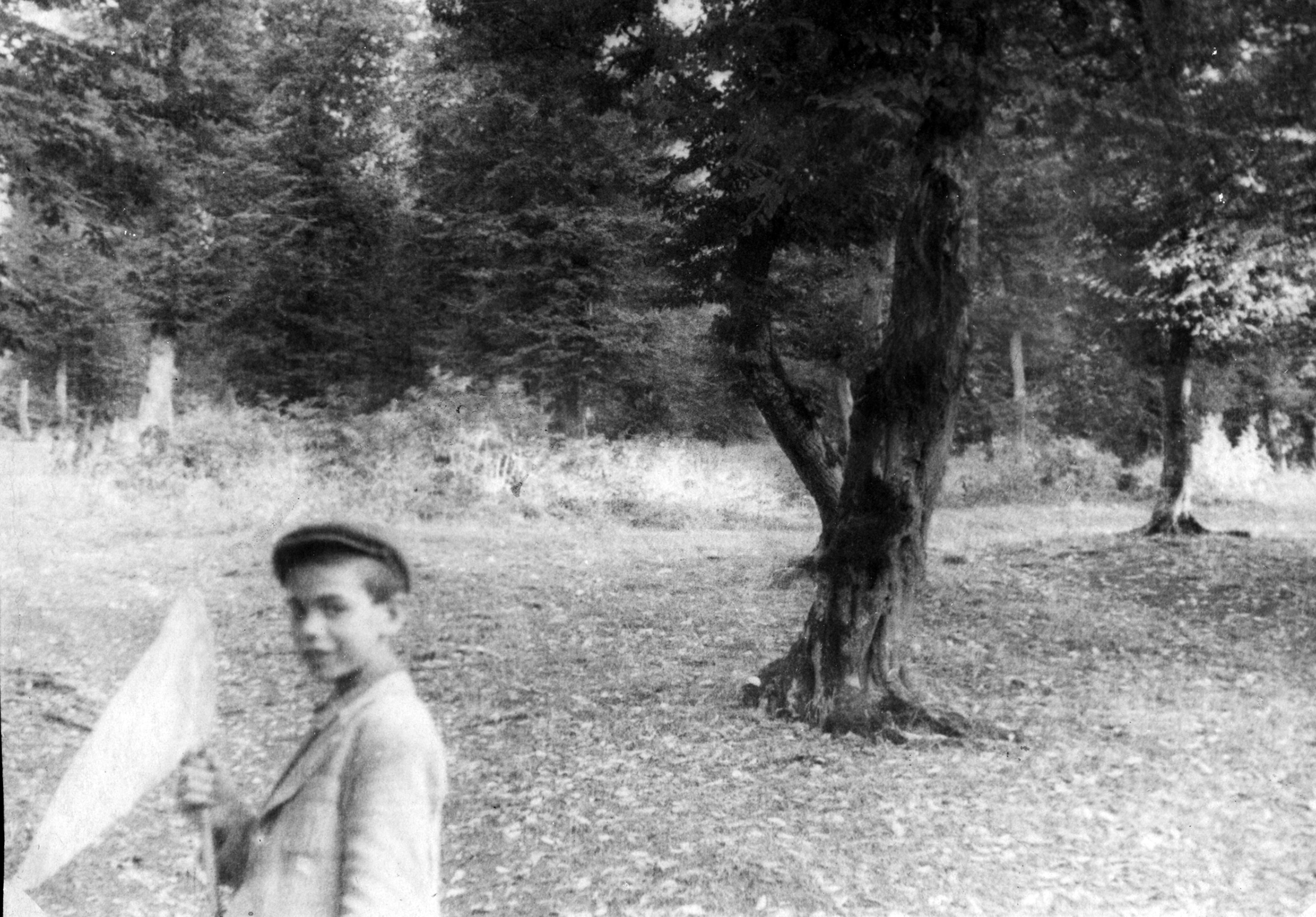 A boy holds a butterfly net.