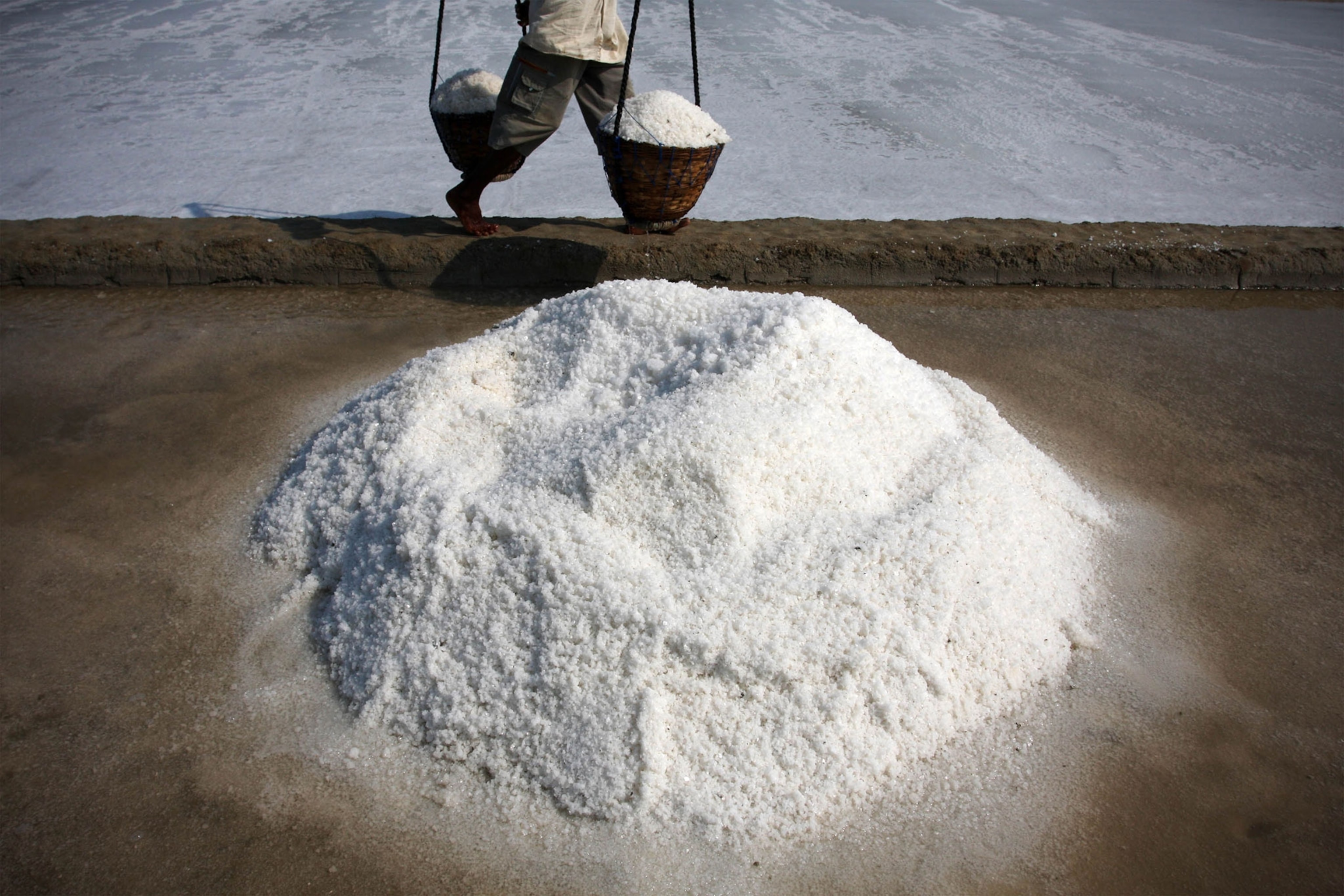 sea salt