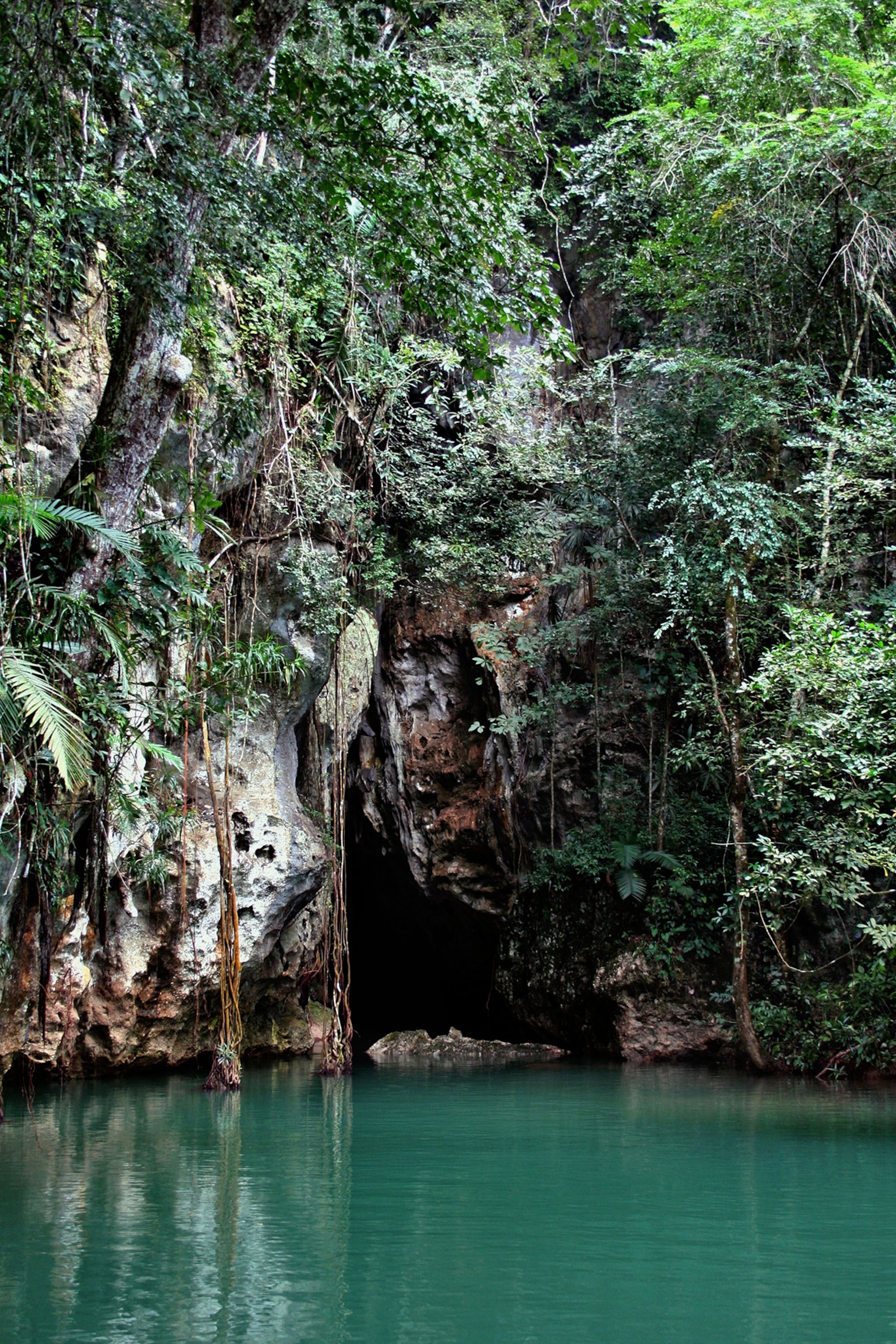 The opening to a cave seems mysterious unable to see into the darkness beautiful blue water with trees and brush surround the entrance.