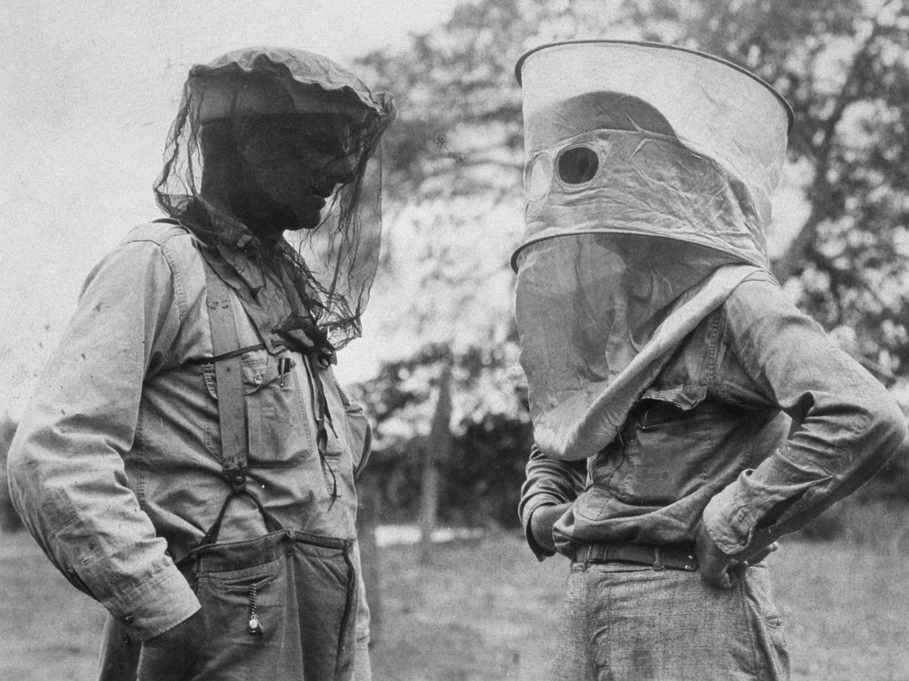 explorers wearing mosquito nets in Brazil