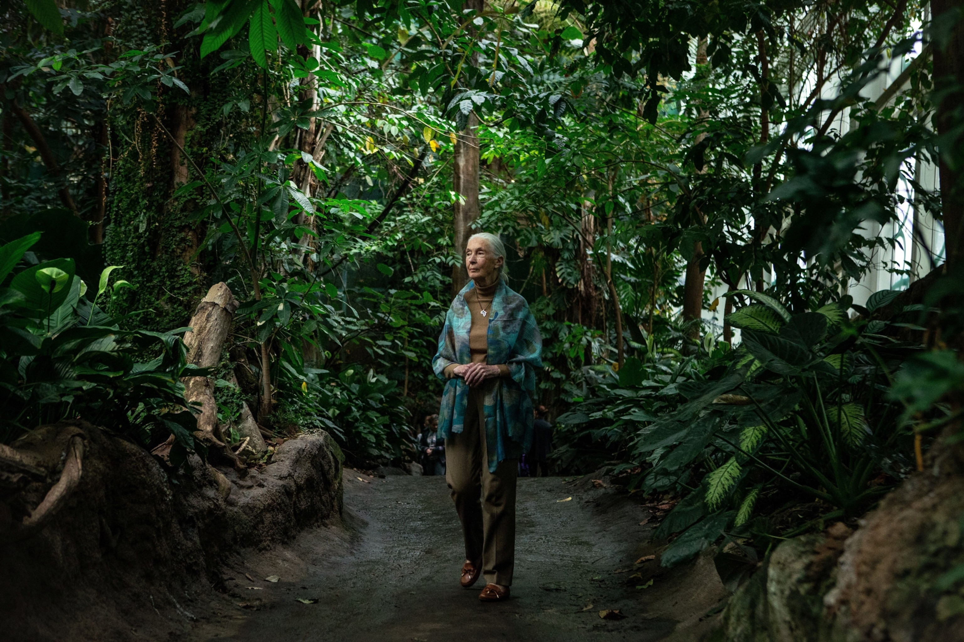 Jane Goodall walks through a thicket of trees in a scientific greenhouse