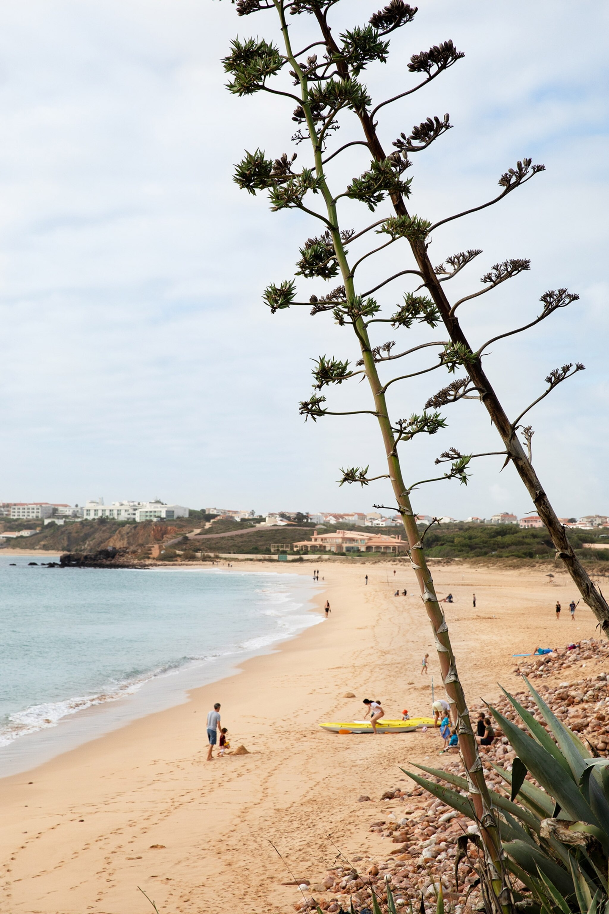 beach in Sagres, portugal