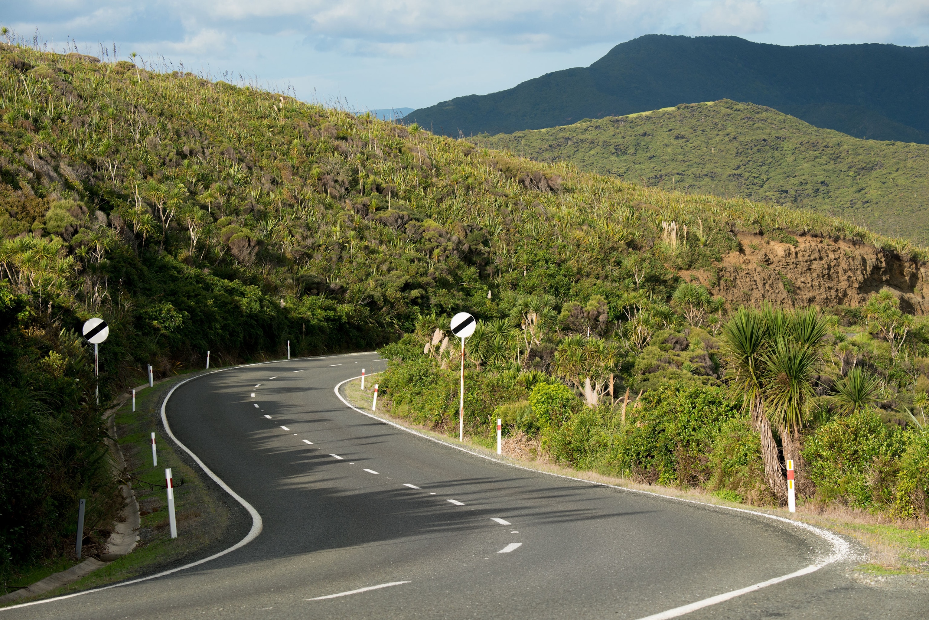 a road leading to Cape Reinga in New Zealand