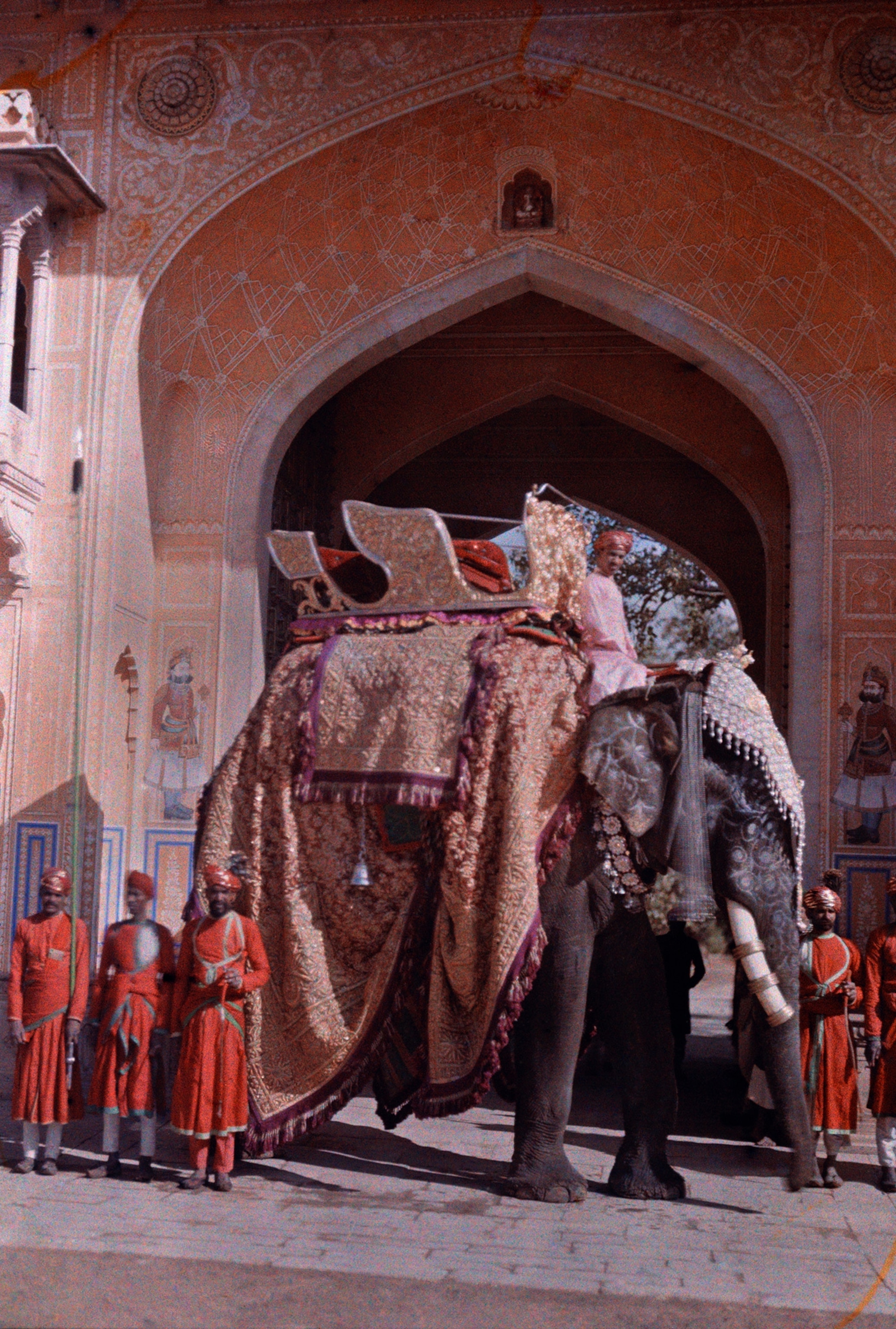 An elephant painted and adorned.