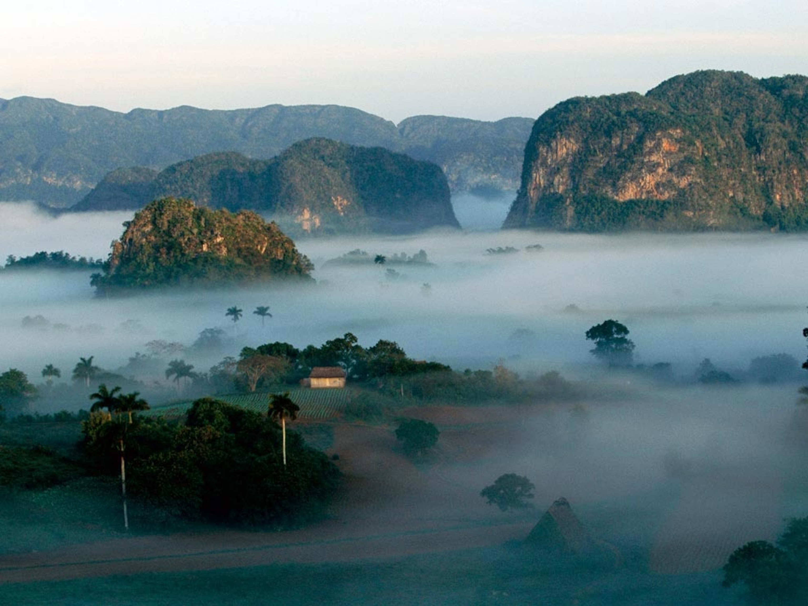 Cliffs in fog