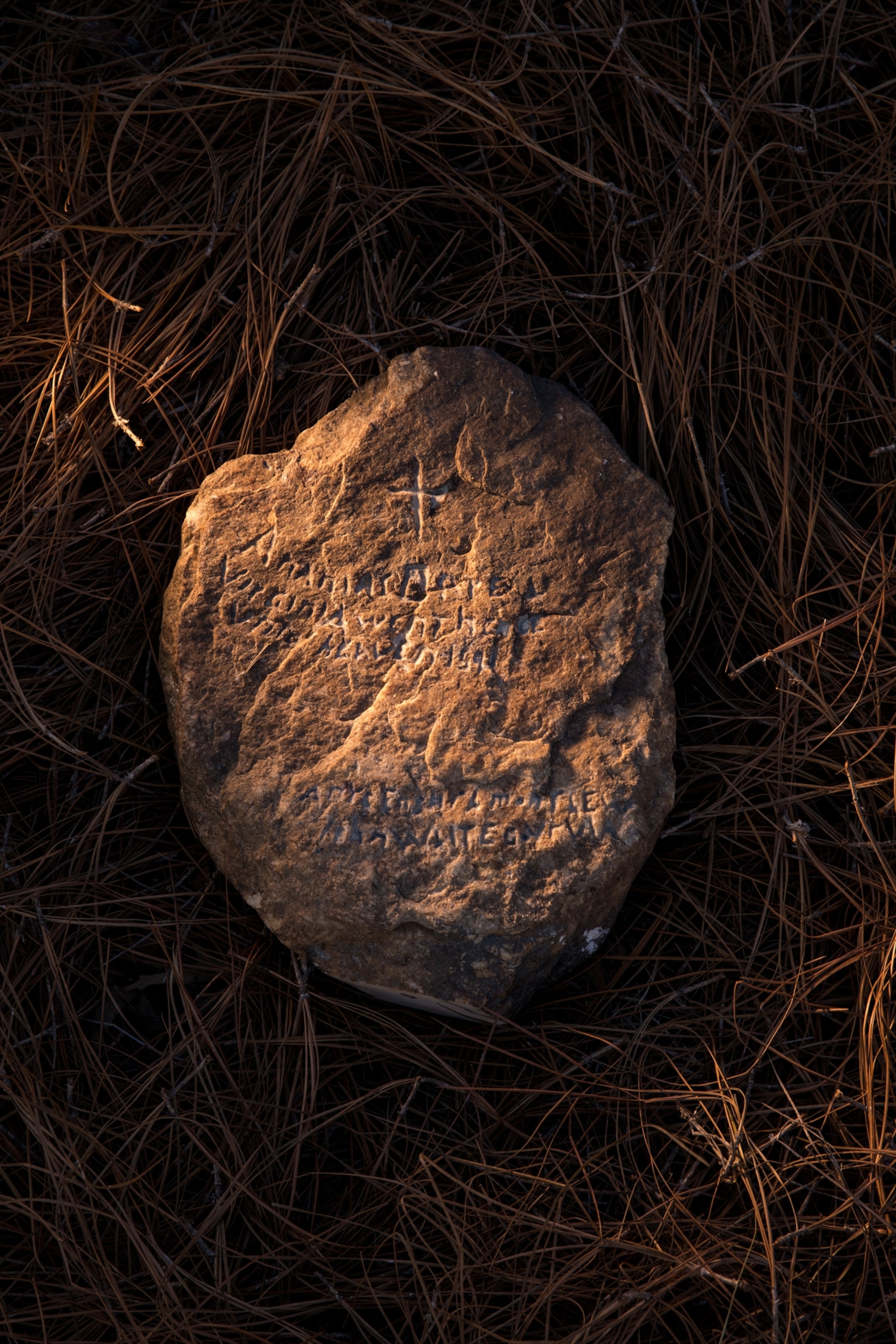 Dare stone with carved an account of the colony’s ordeal.