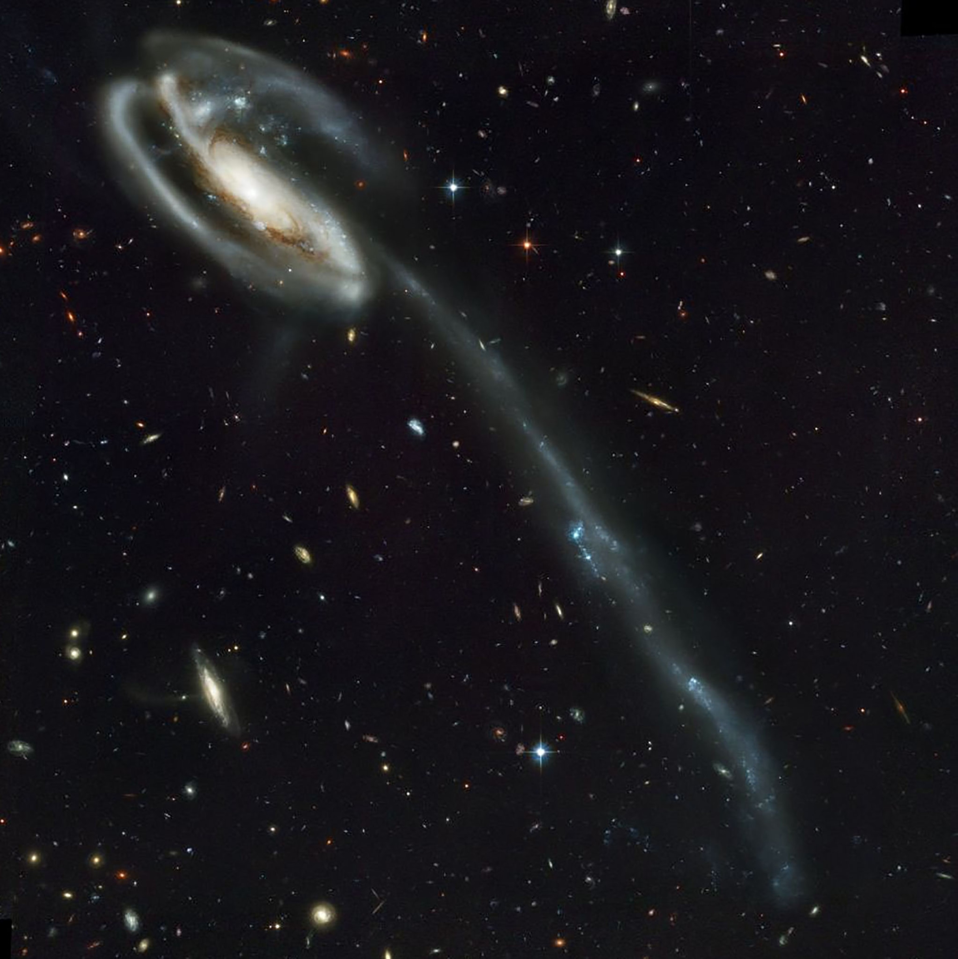 nebula