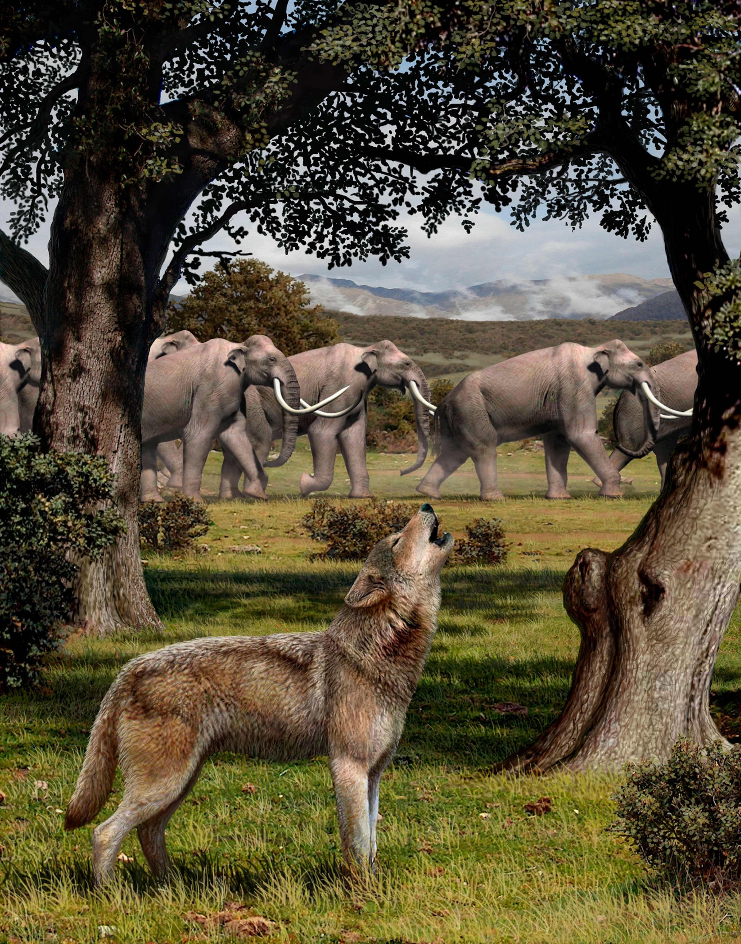 A wolf howls in front of a herd of Colombian mammoths.